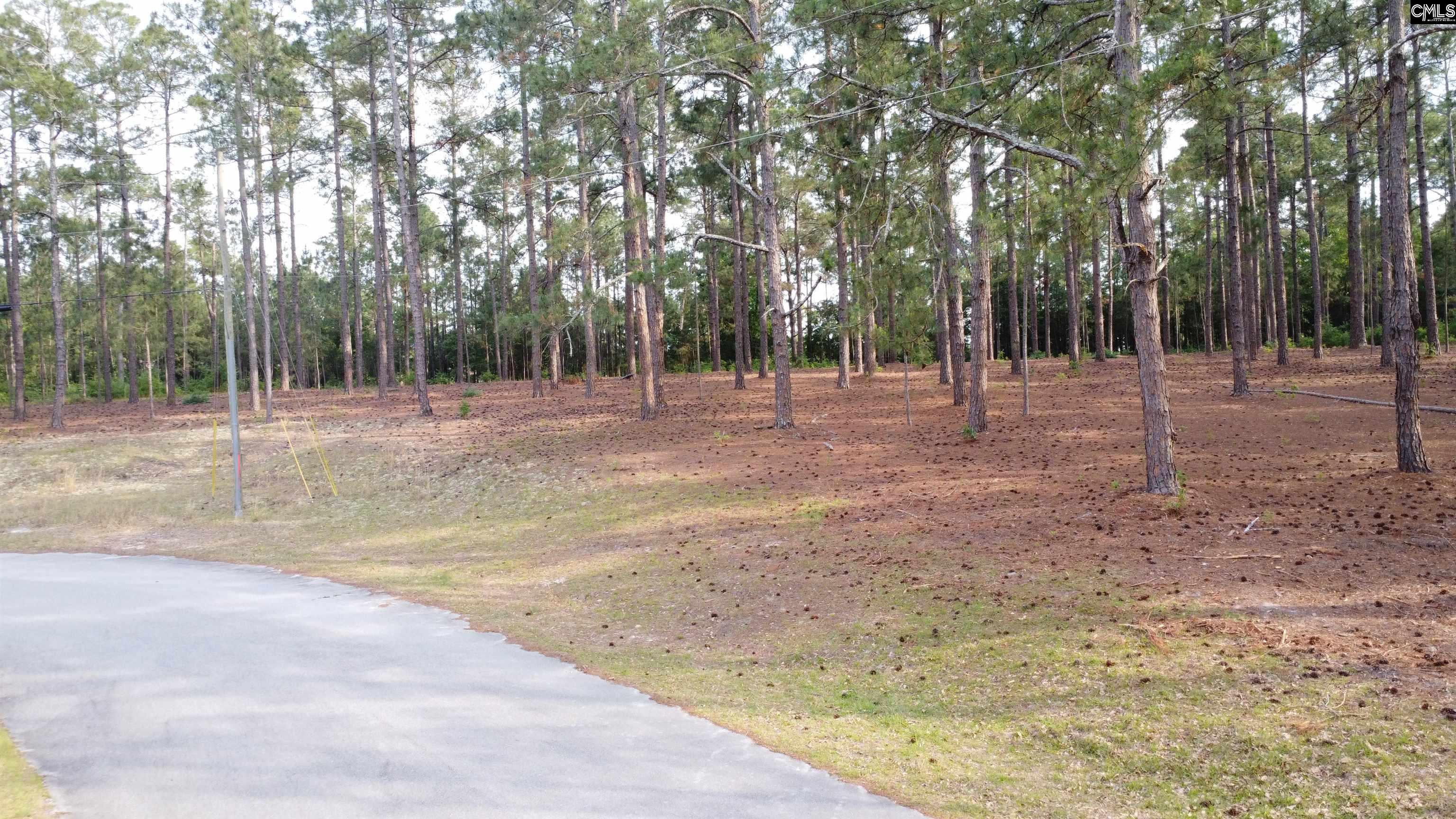 Little Creek Drive Leesville, SC 29070