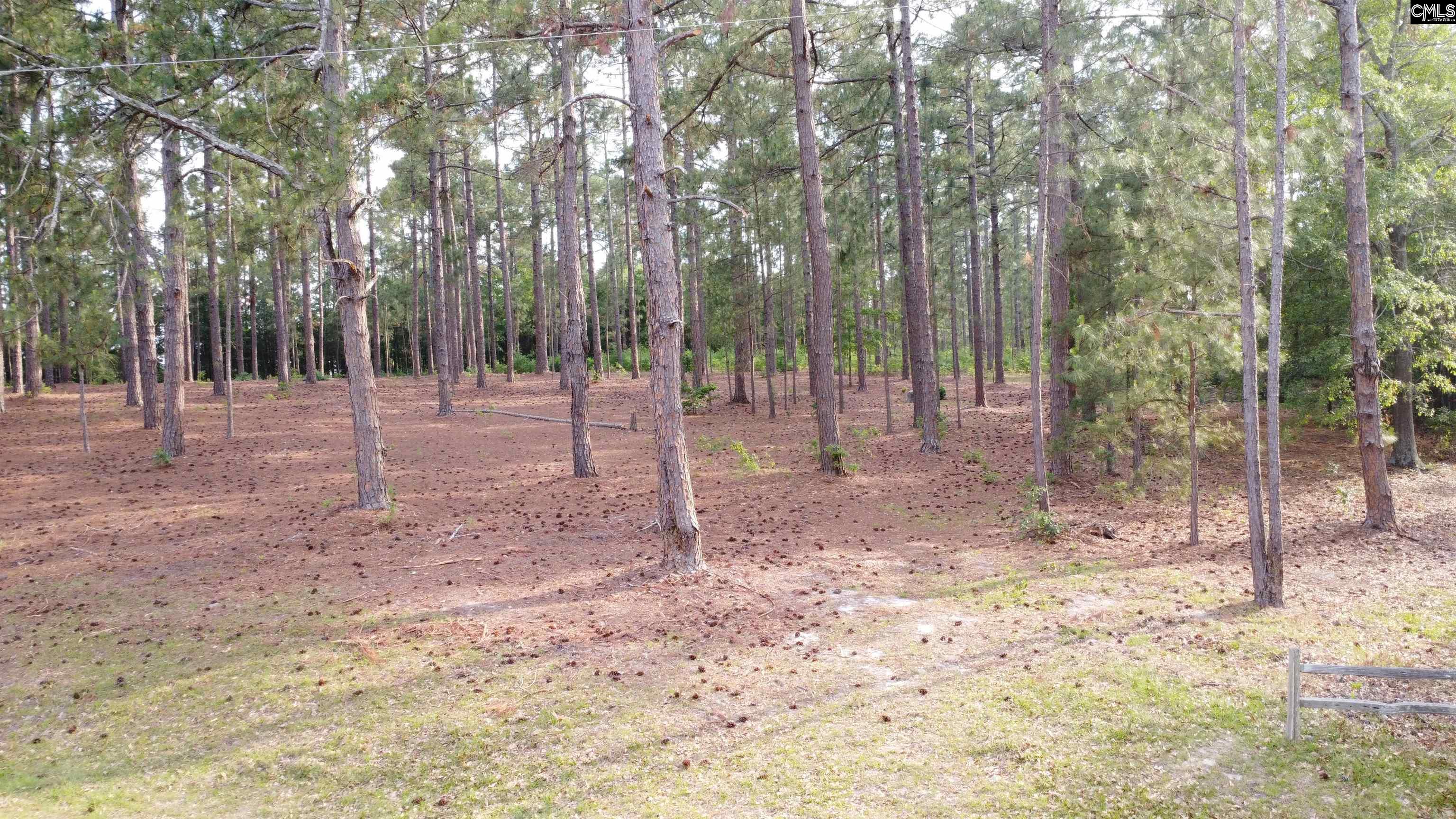Little Creek Drive Leesville, SC 29070