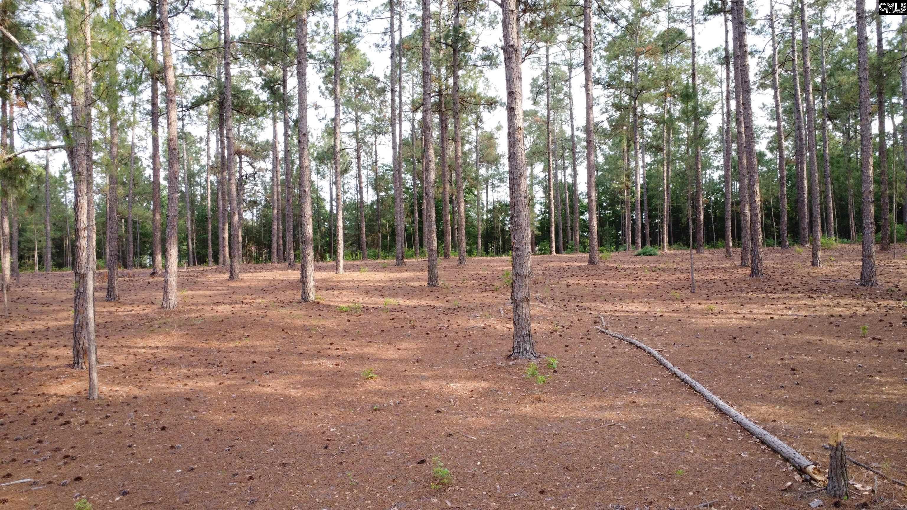 Little Creek Drive Leesville, SC 29070