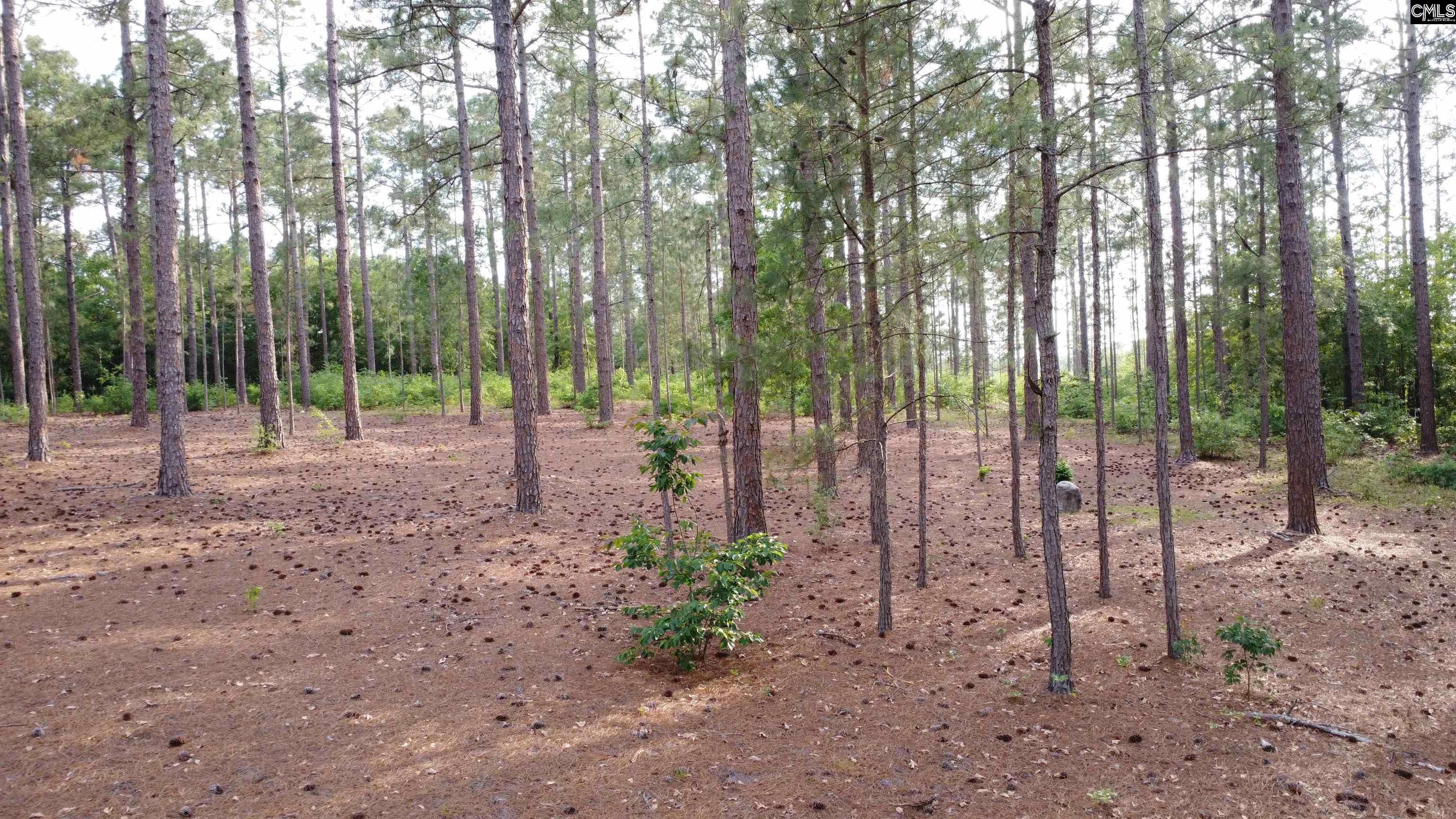 Little Creek Drive Leesville, SC 29070