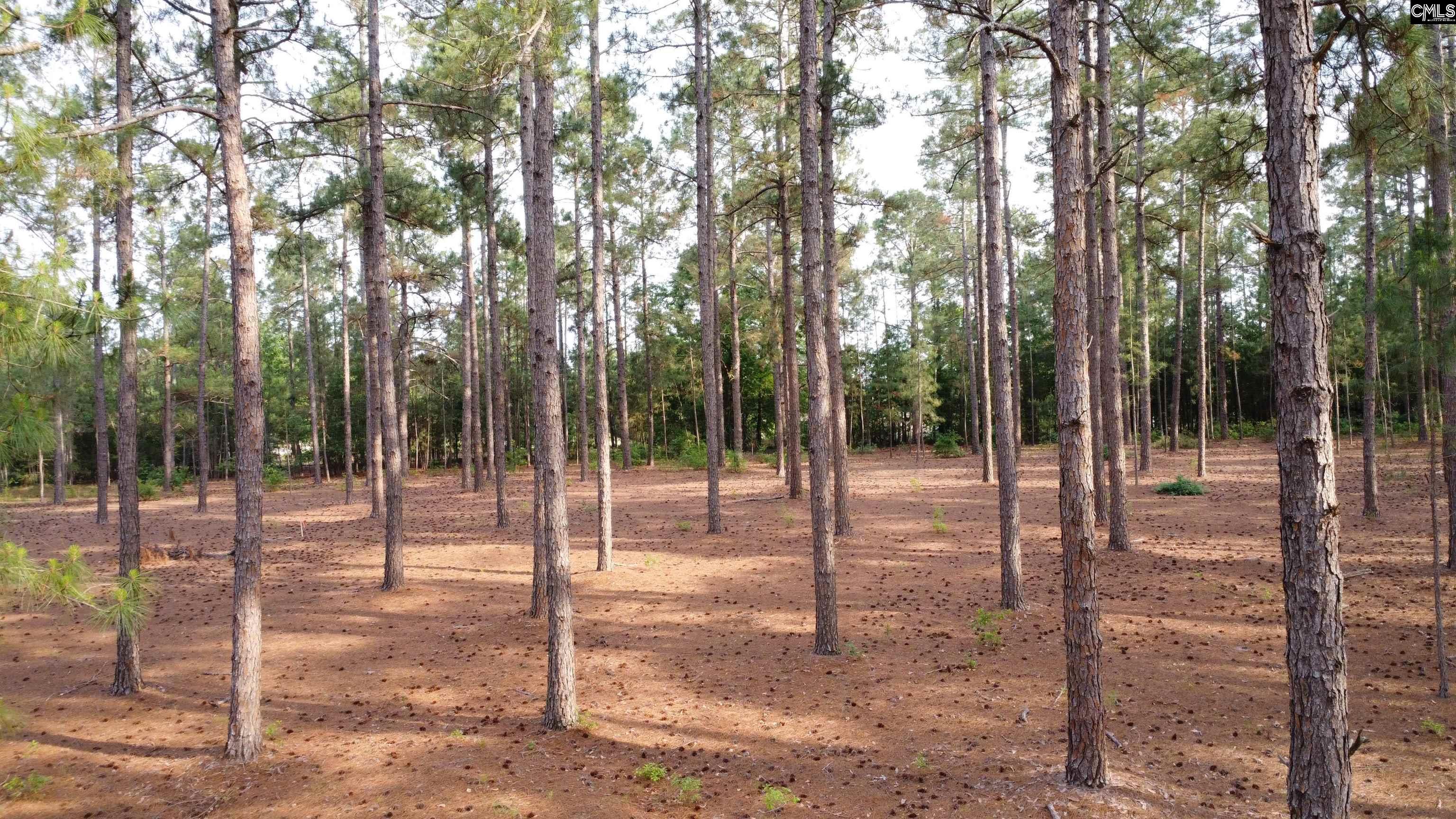 Little Creek Drive Leesville, SC 29070