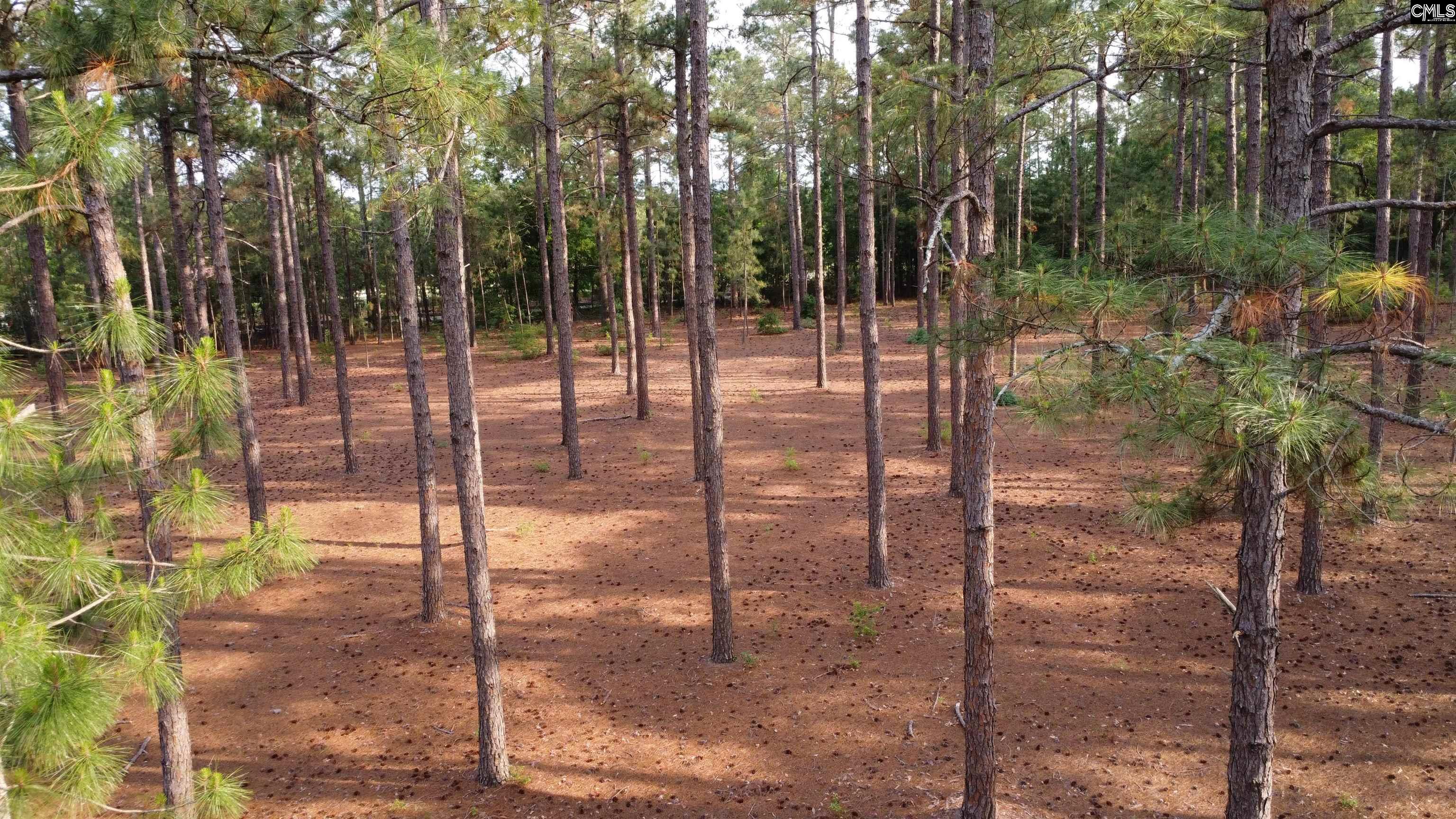 Little Creek Drive Leesville, SC 29070