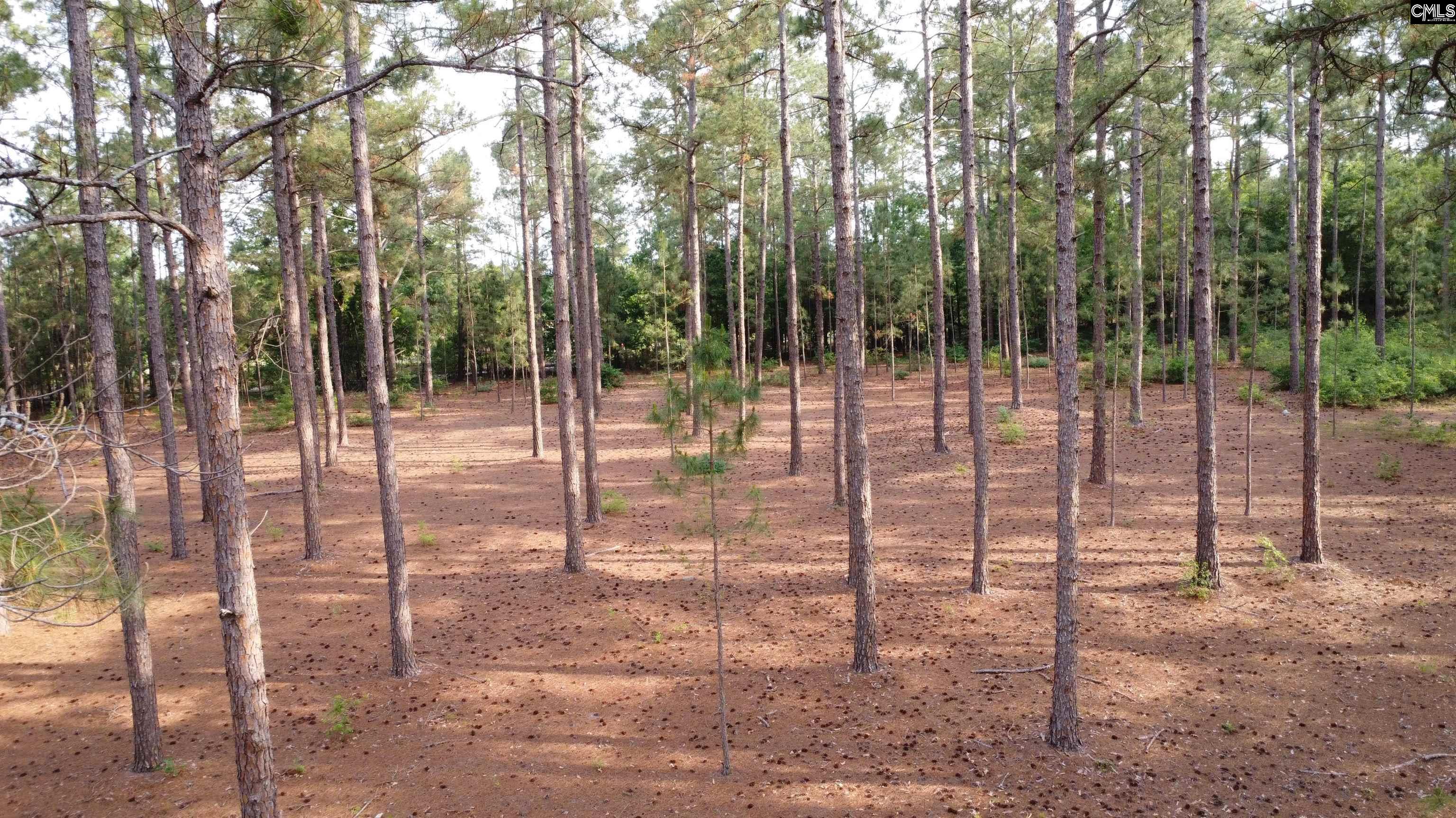 Little Creek Drive Leesville, SC 29070