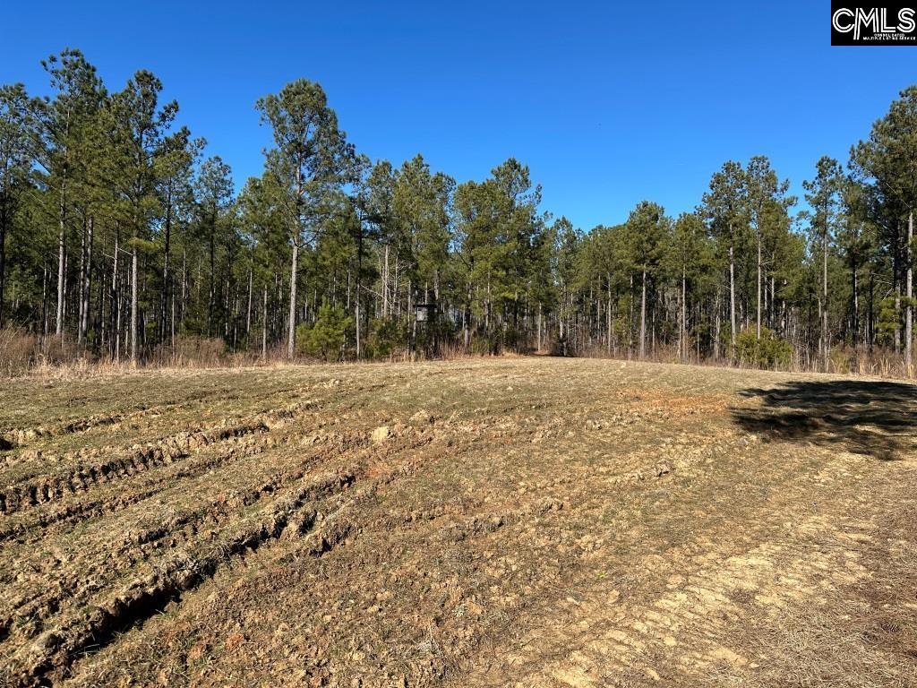River Road Winnsboro, SC 29180