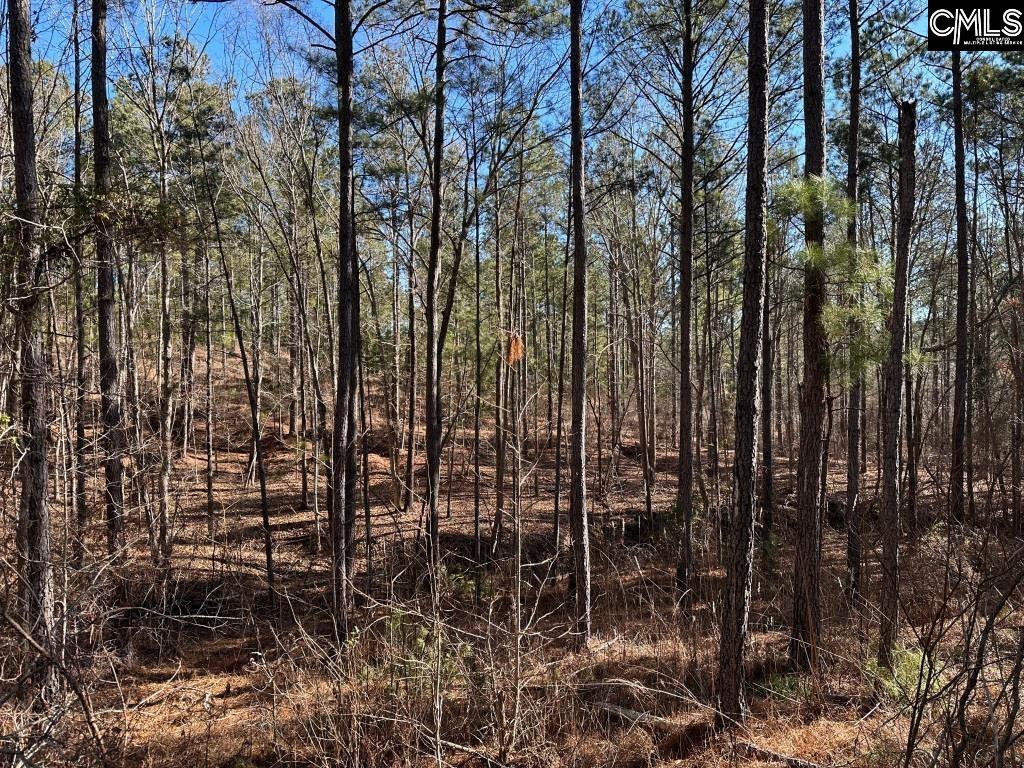 River Road Winnsboro, SC 29180