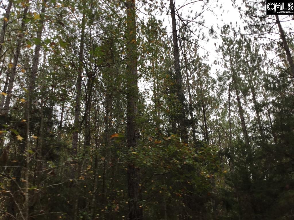 Old Cherokee Road Blair, SC 29015