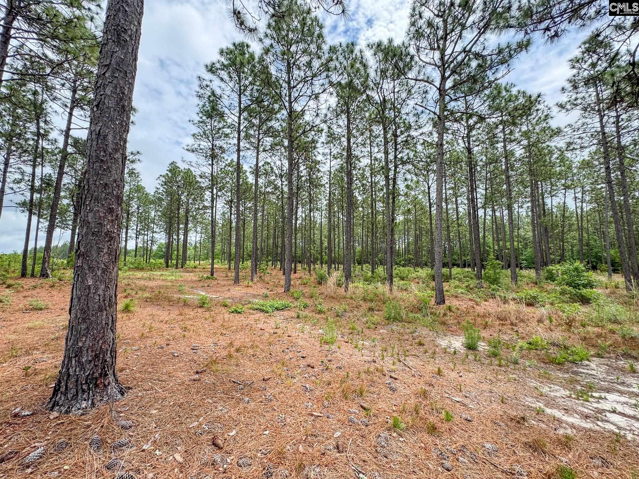 Neely Wingard Road UNIT Lot 2 Gilbert, SC 29054