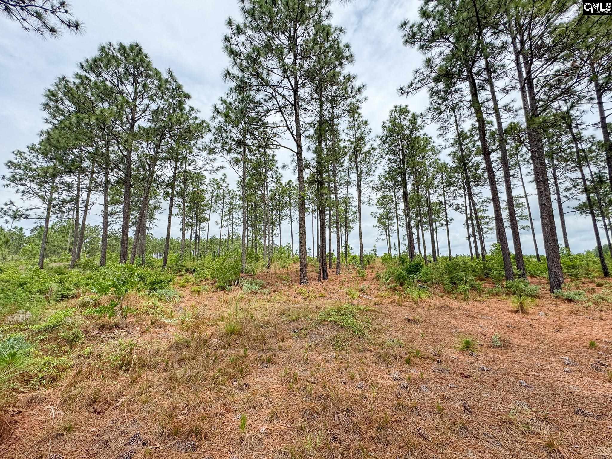 Neely Wingard Road UNIT Lot 2 Gilbert, SC 29054