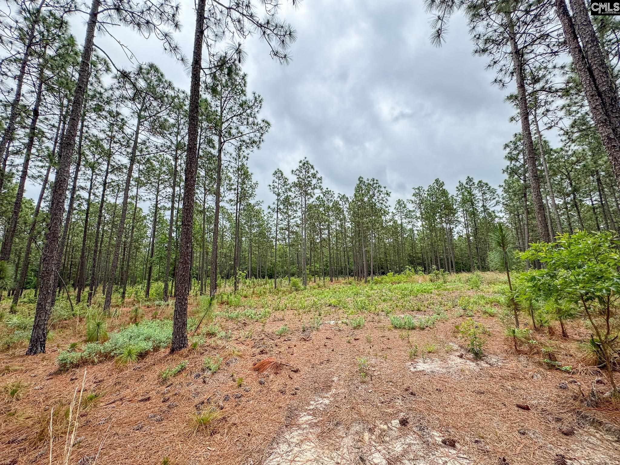 Neely Wingard Road UNIT Lot 3 Gilbert, SC 29054