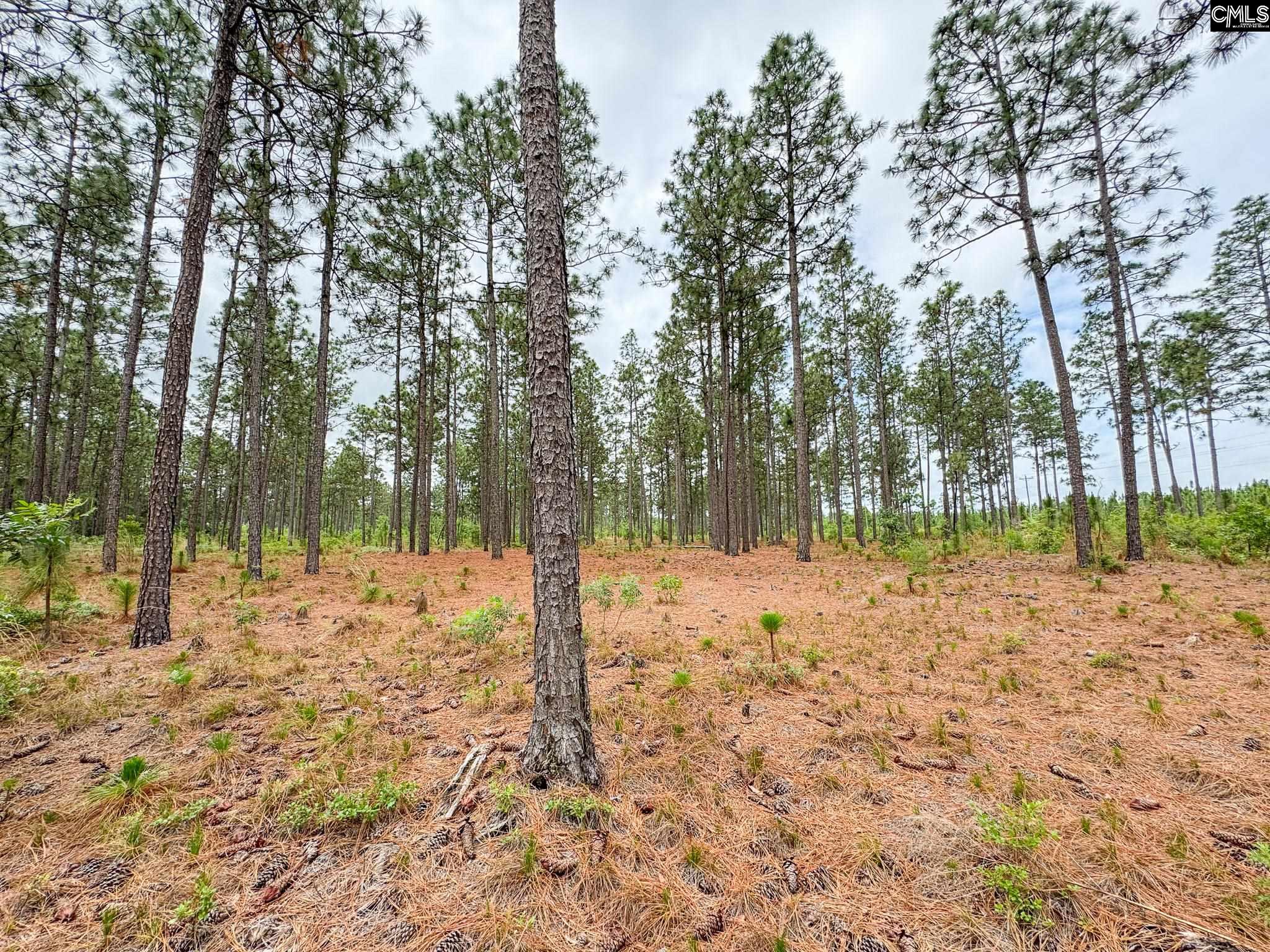 Neely Wingard Road UNIT Lot 3 Gilbert, SC 29054