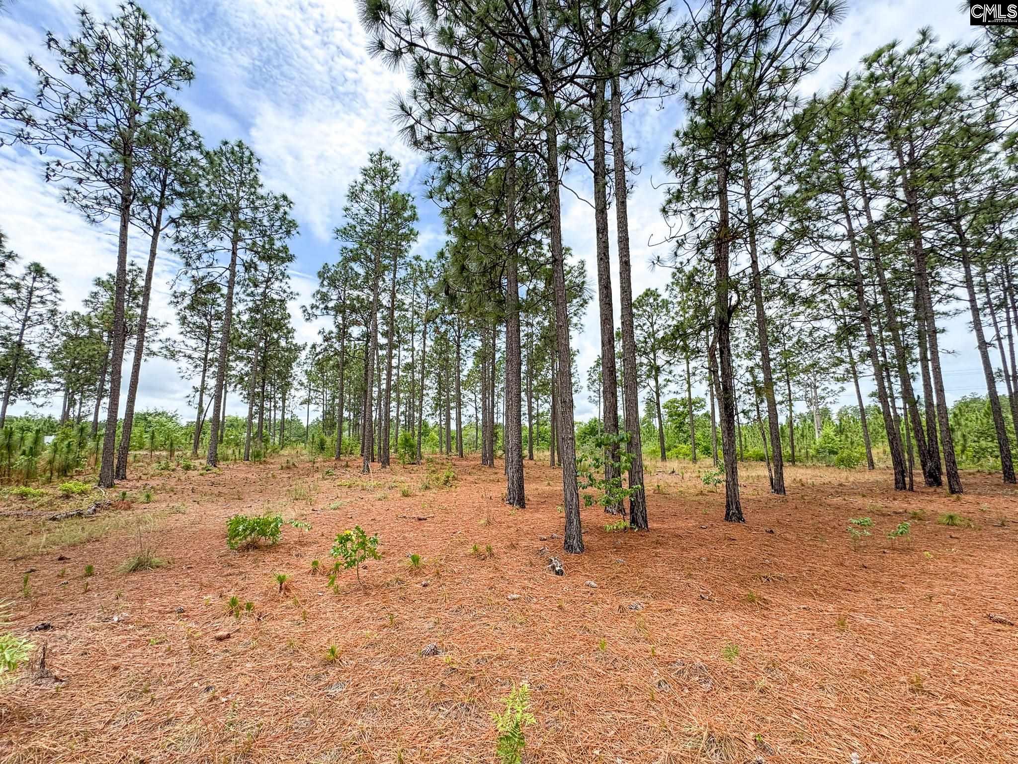 Neely Wingard Road UNIT Lot 4 Gilbert, SC 29054