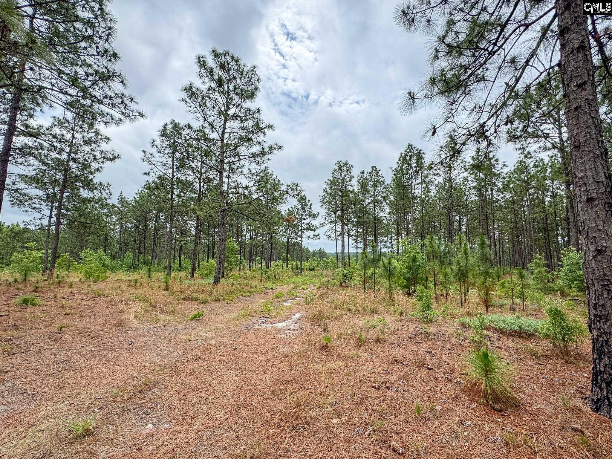 Neely Wingard Road UNIT Lot 5 Gilbert, SC 29054