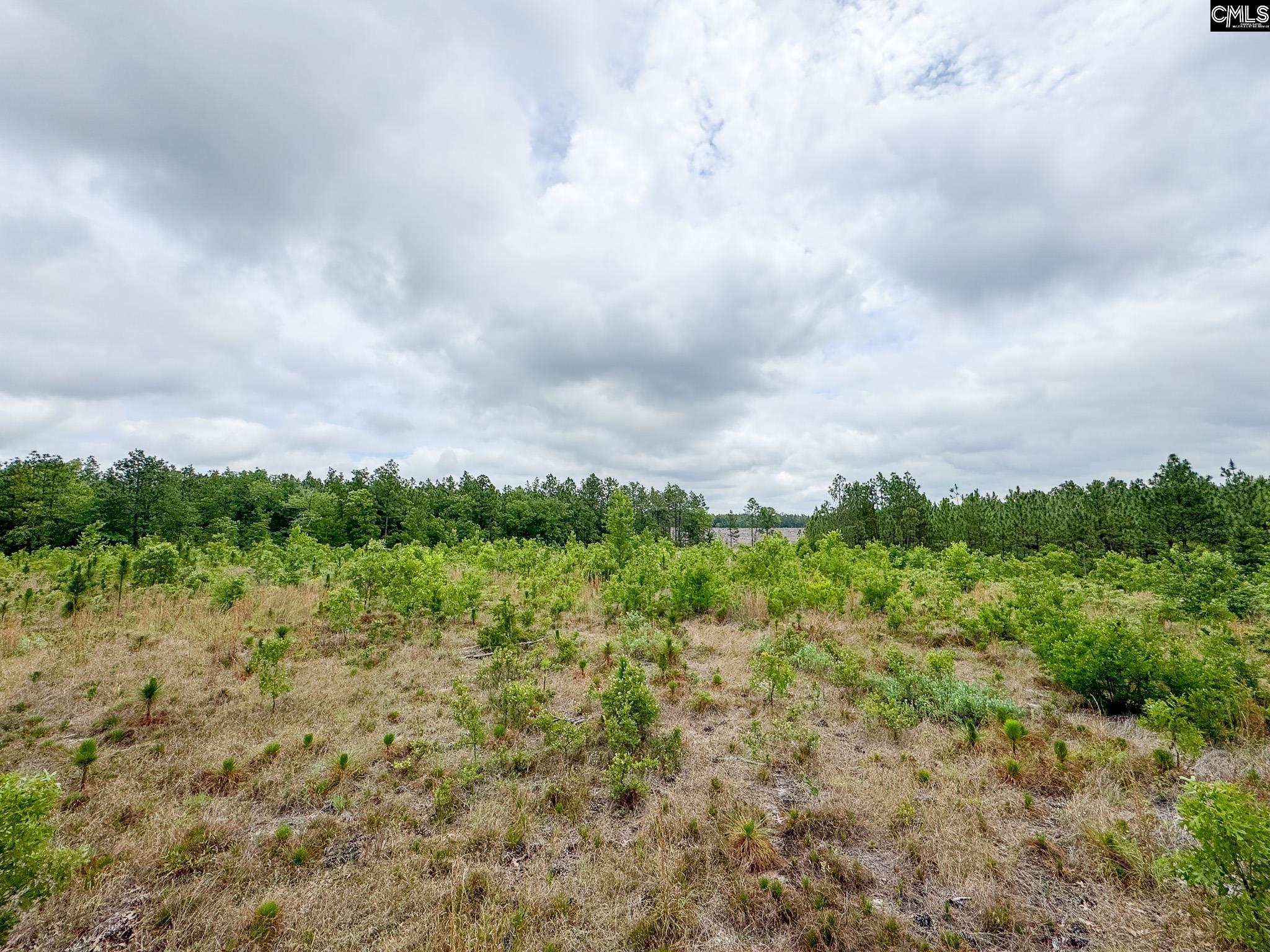 Neely Wingard Road UNIT Lot 5 Gilbert, SC 29054