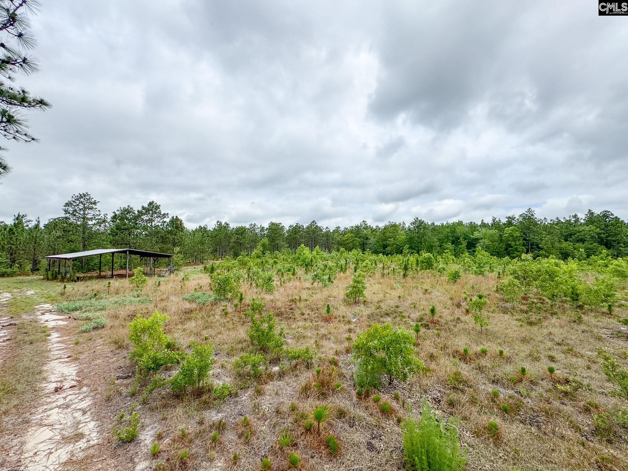 Neely Wingard Road UNIT Lot 5 Gilbert, SC 29054