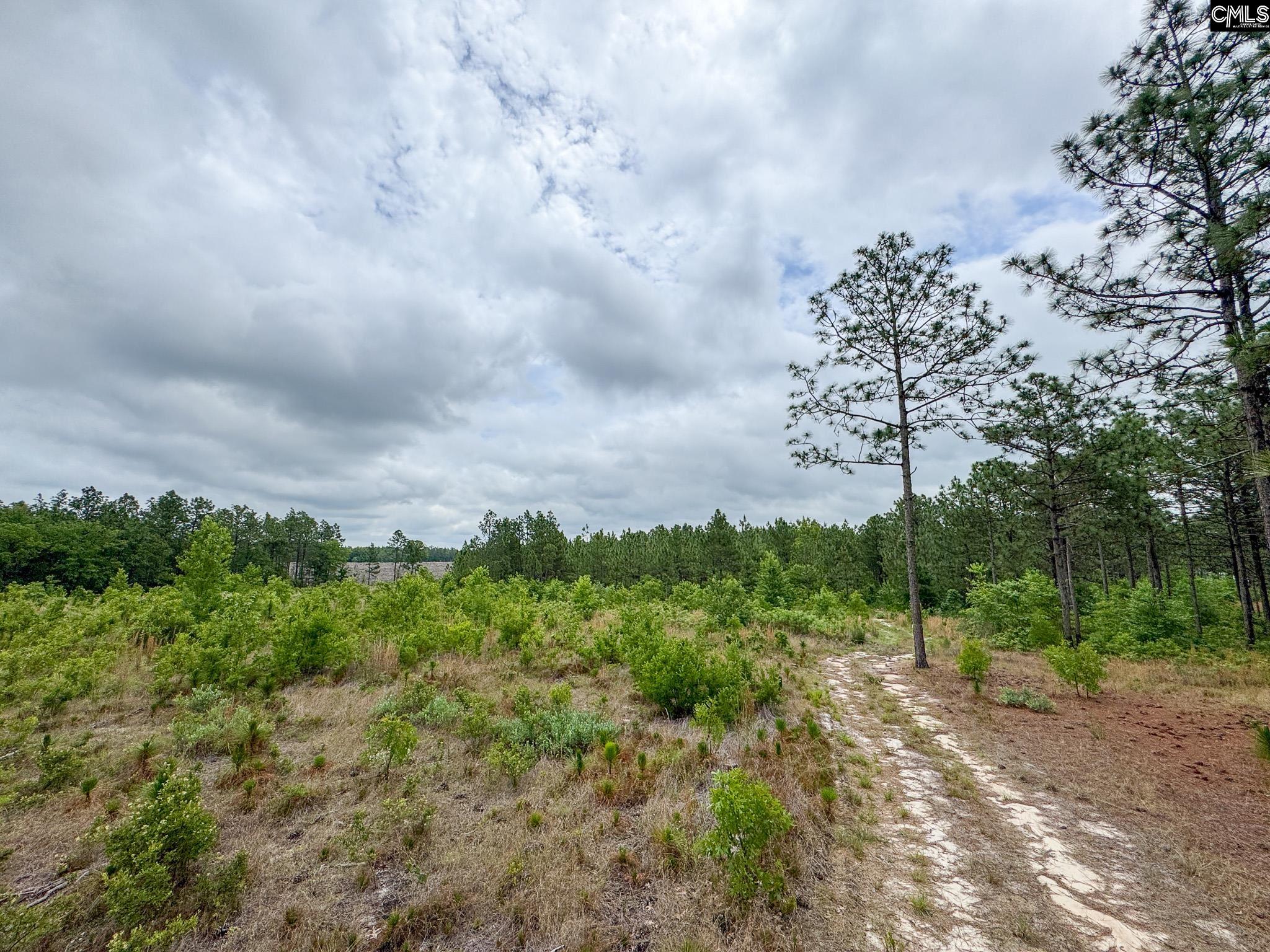 Neely Wingard Road UNIT Lot 5 Gilbert, SC 29054