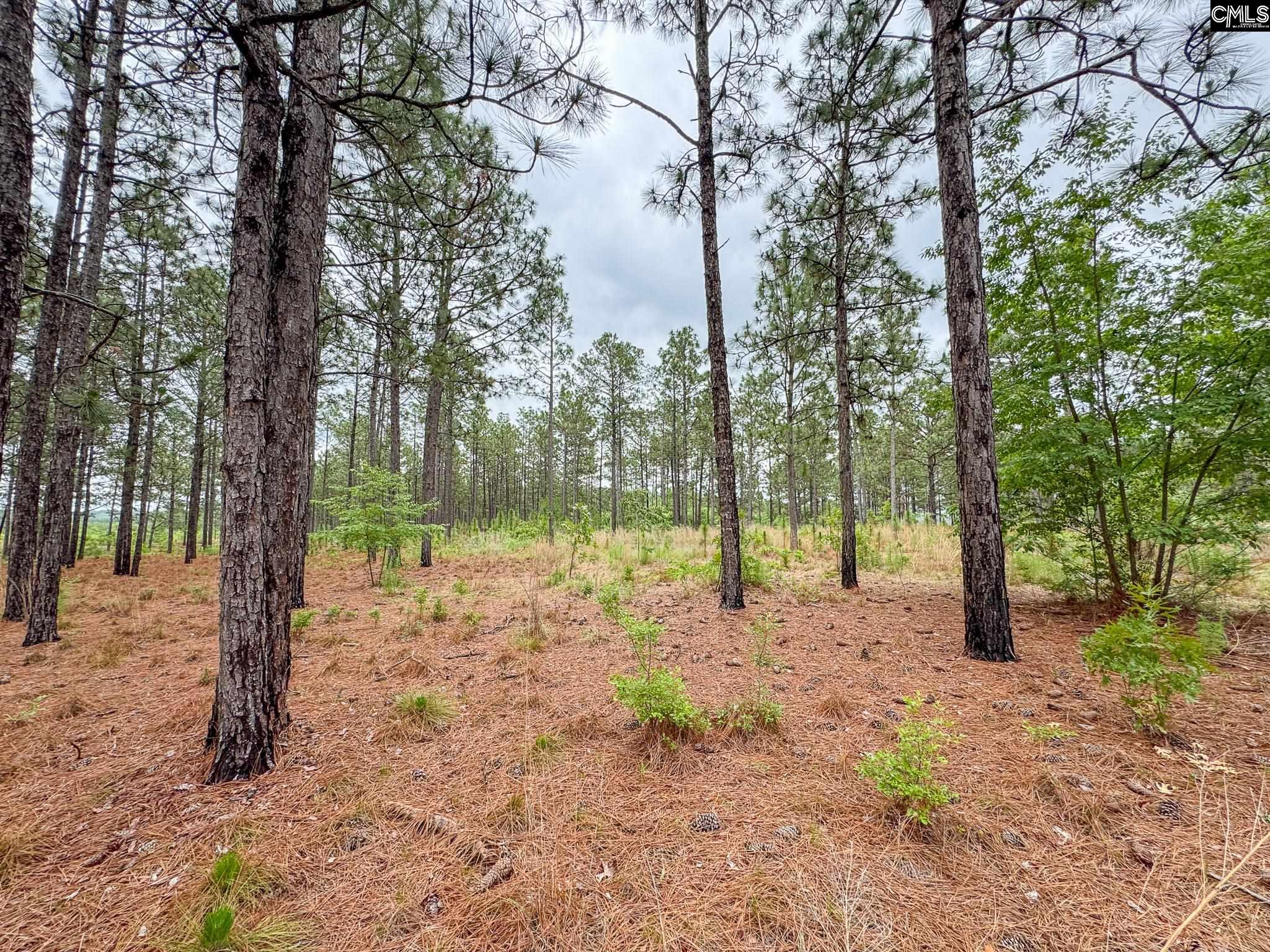 Neely Wingard Road UNIT Lot 6 Gilbert, SC 29054