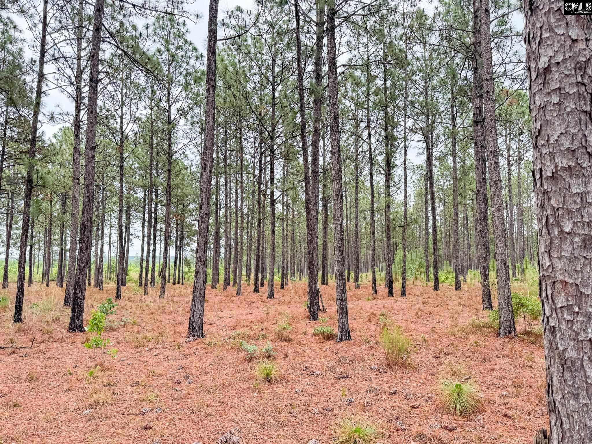 Neely Wingard Road UNIT Lot 6 Gilbert, SC 29054