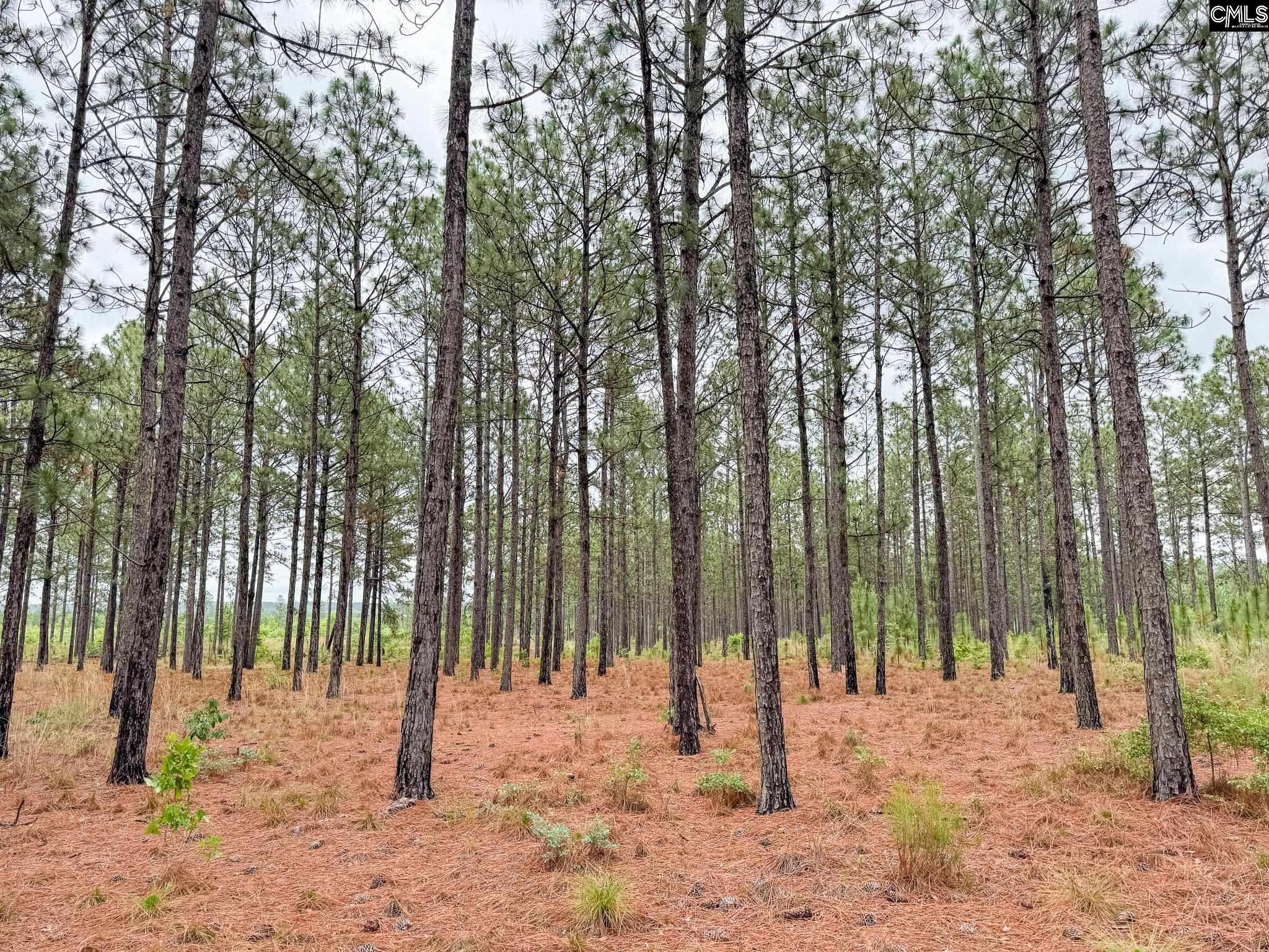 Neely Wingard Road UNIT Lot 6 Gilbert, SC 29054