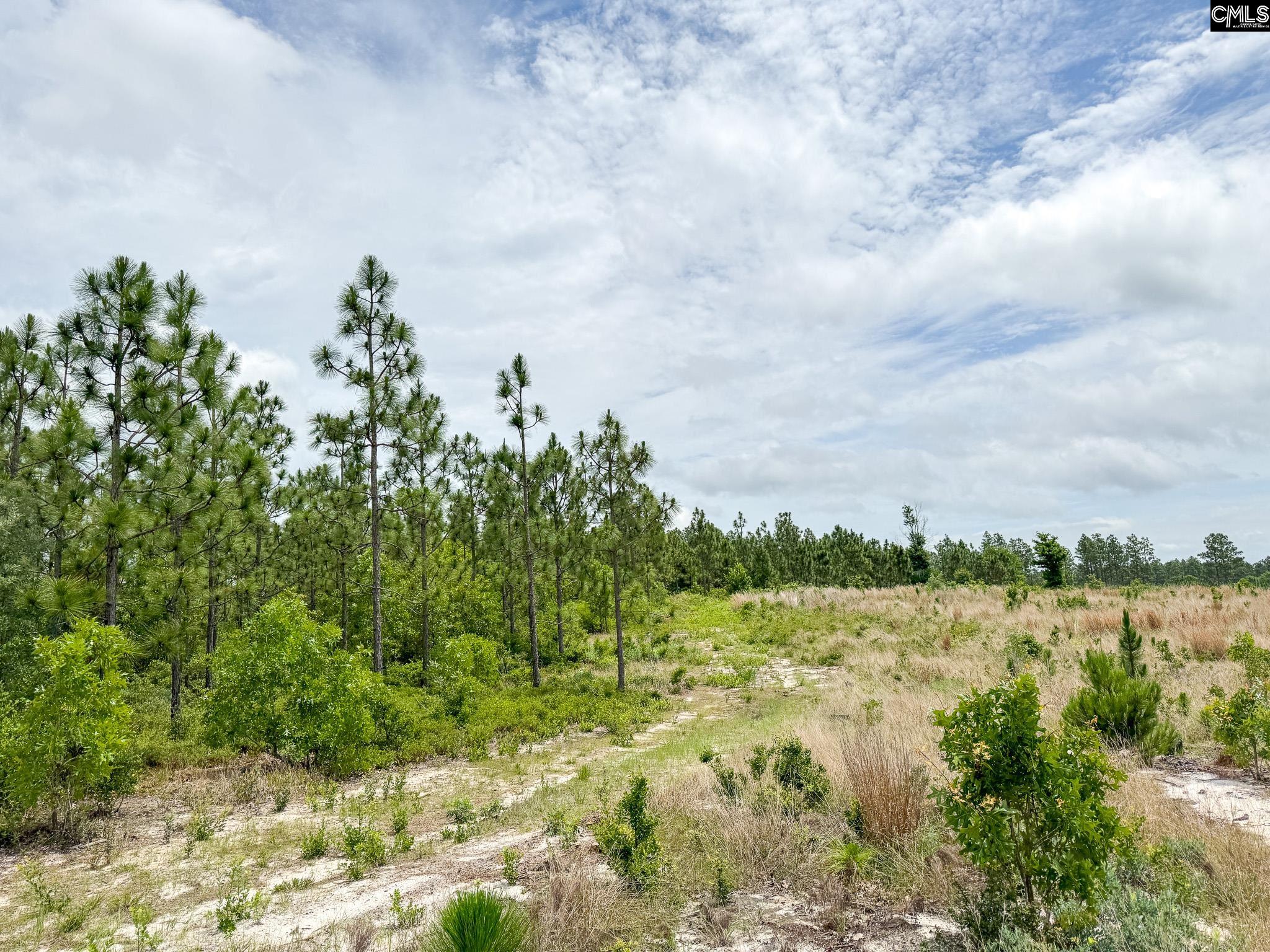 Neely Wingard Road UNIT Lot 8 Gilbert, SC 29054