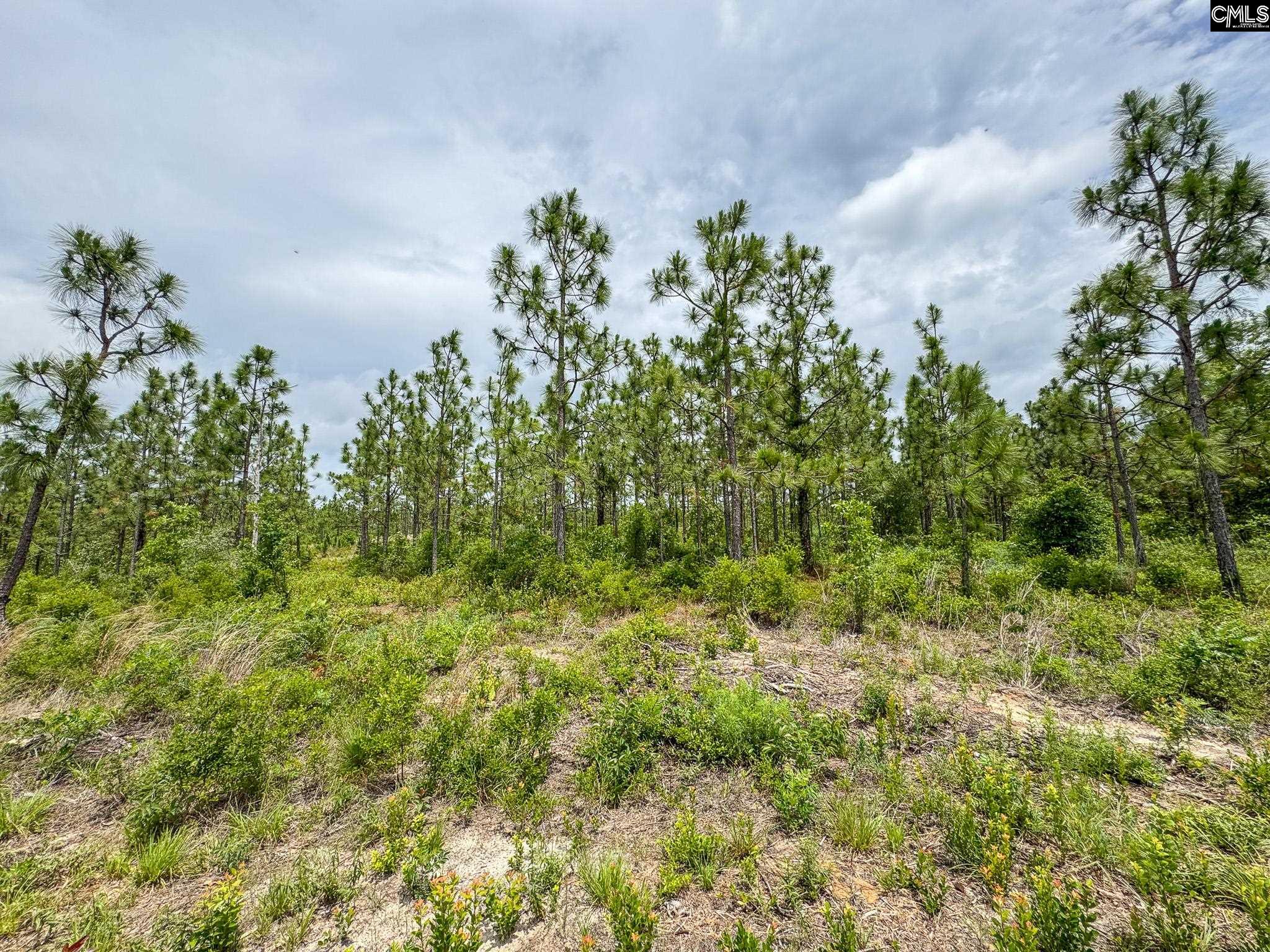 Neely Wingard Road UNIT Lot 8 Gilbert, SC 29054