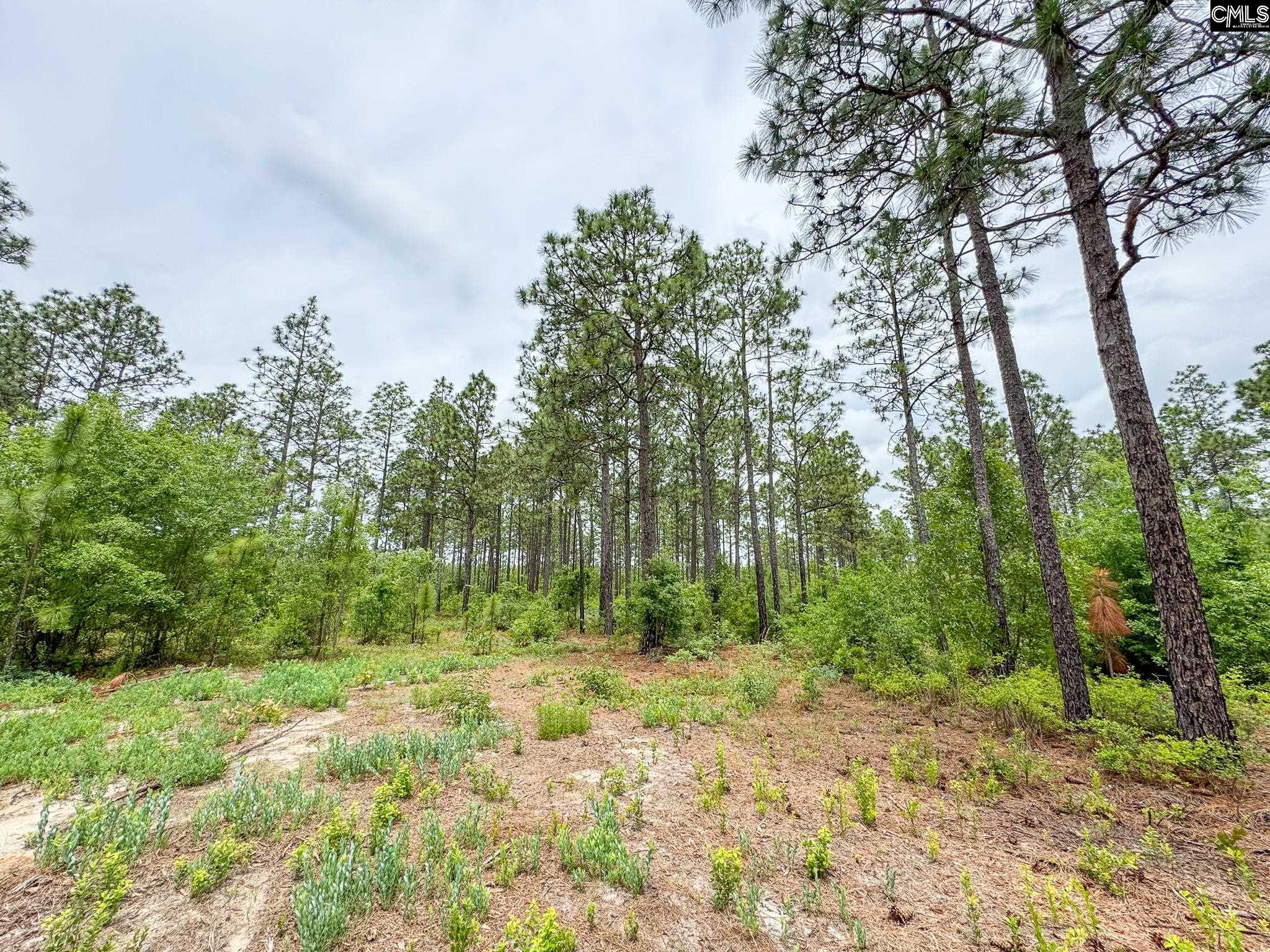 Neely Wingard Road UNIT Lot 9 Gilbert, SC 29054