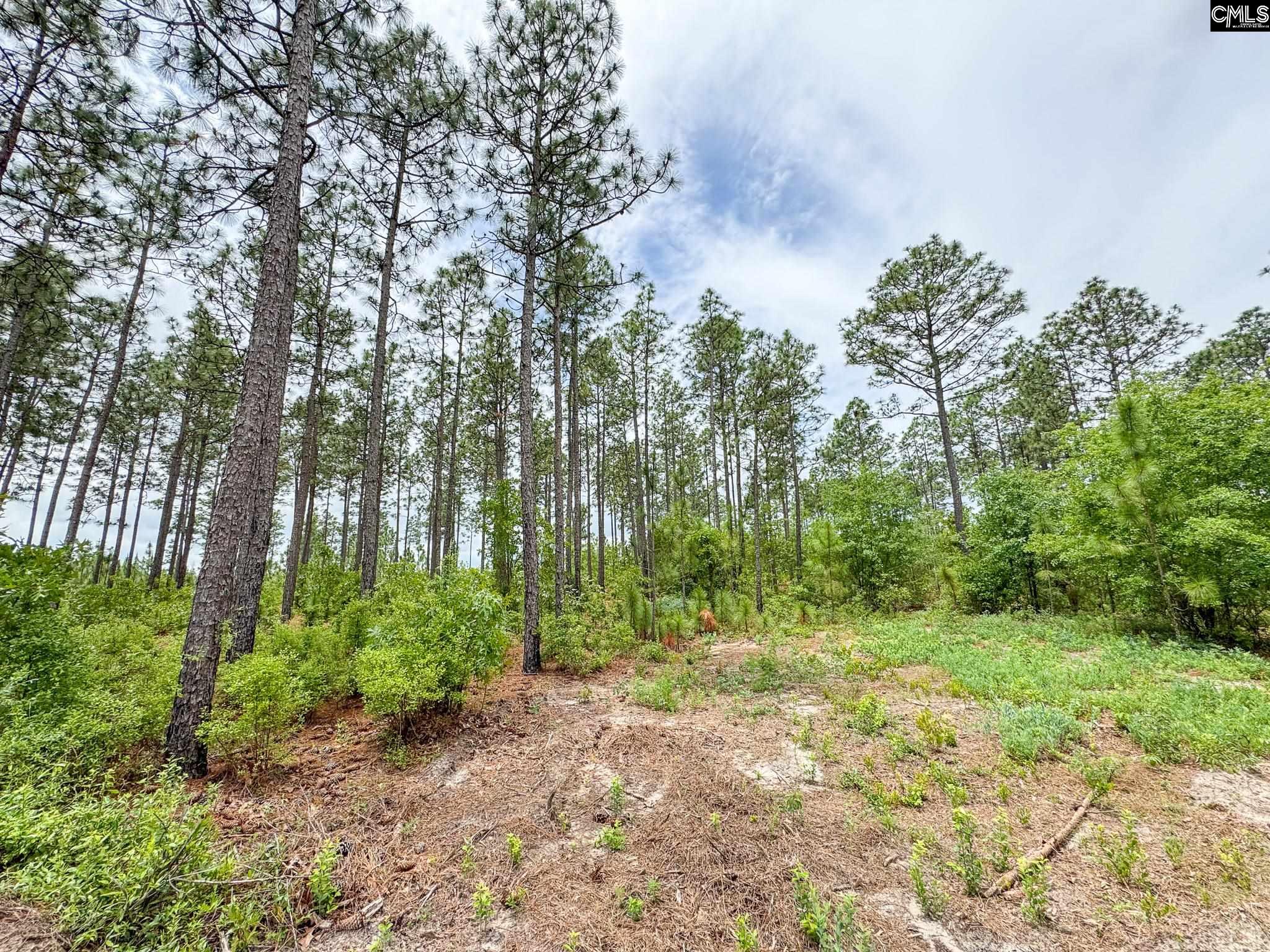 Neely Wingard Road UNIT Lot 9 Gilbert, SC 29054
