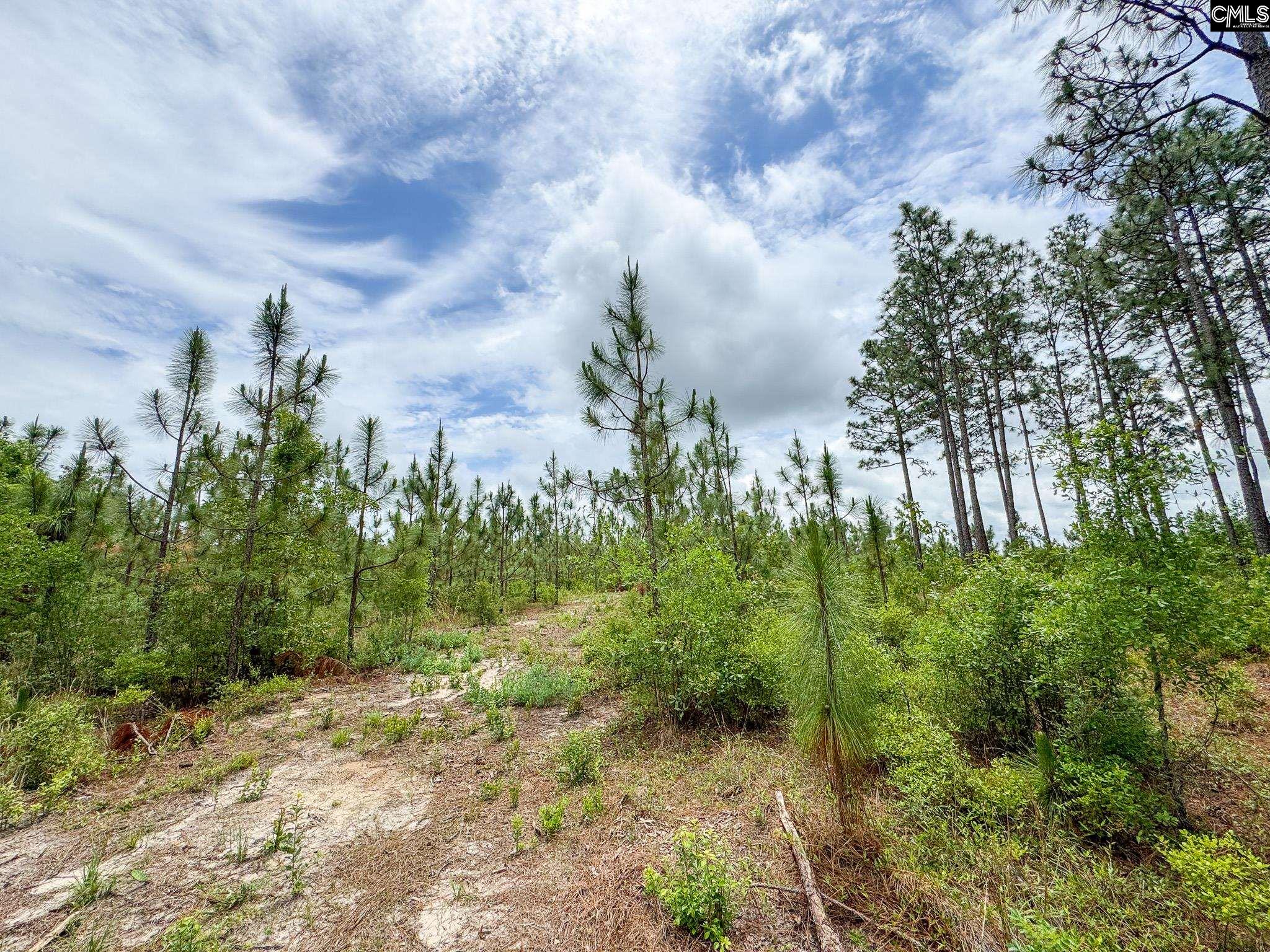 Neely Wingard Road UNIT Lot 9 Gilbert, SC 29054