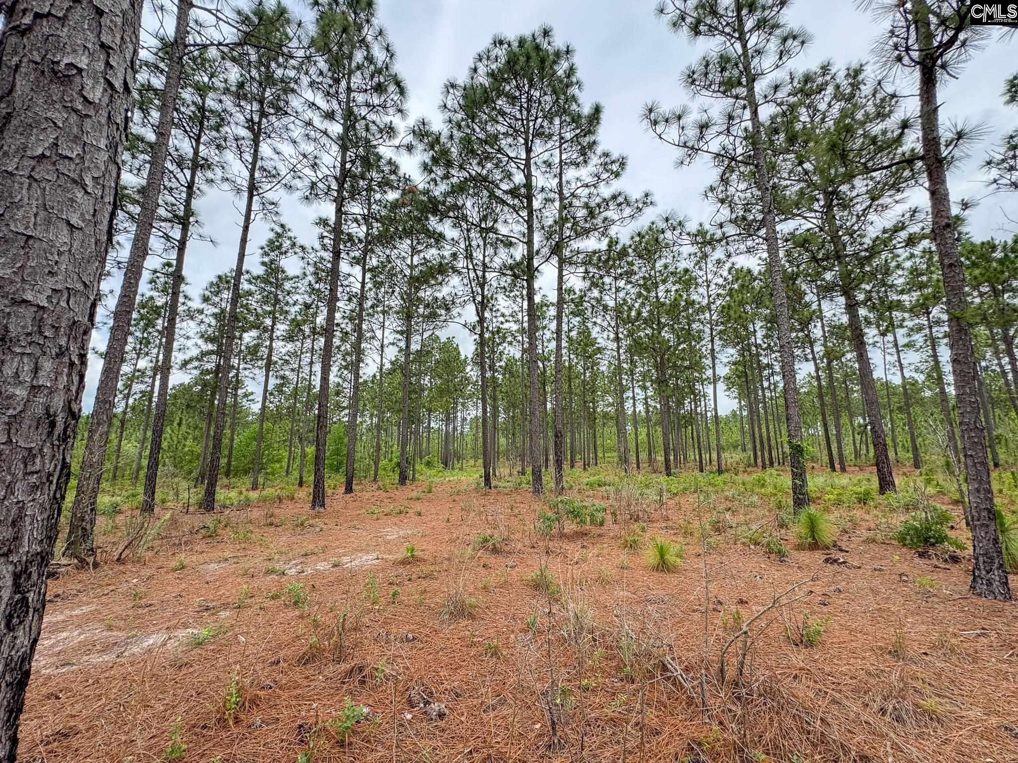 Neely Wingard Road UNIT Lot 10 Gilbert, SC 29054