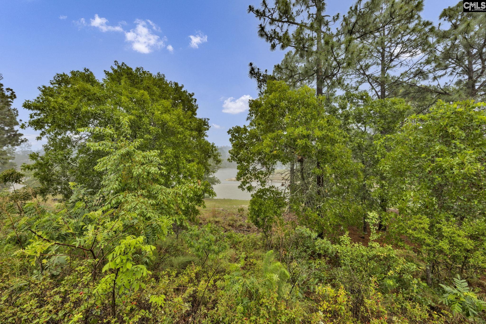 212 Indigo Springs Drive Columbia, SC 29229