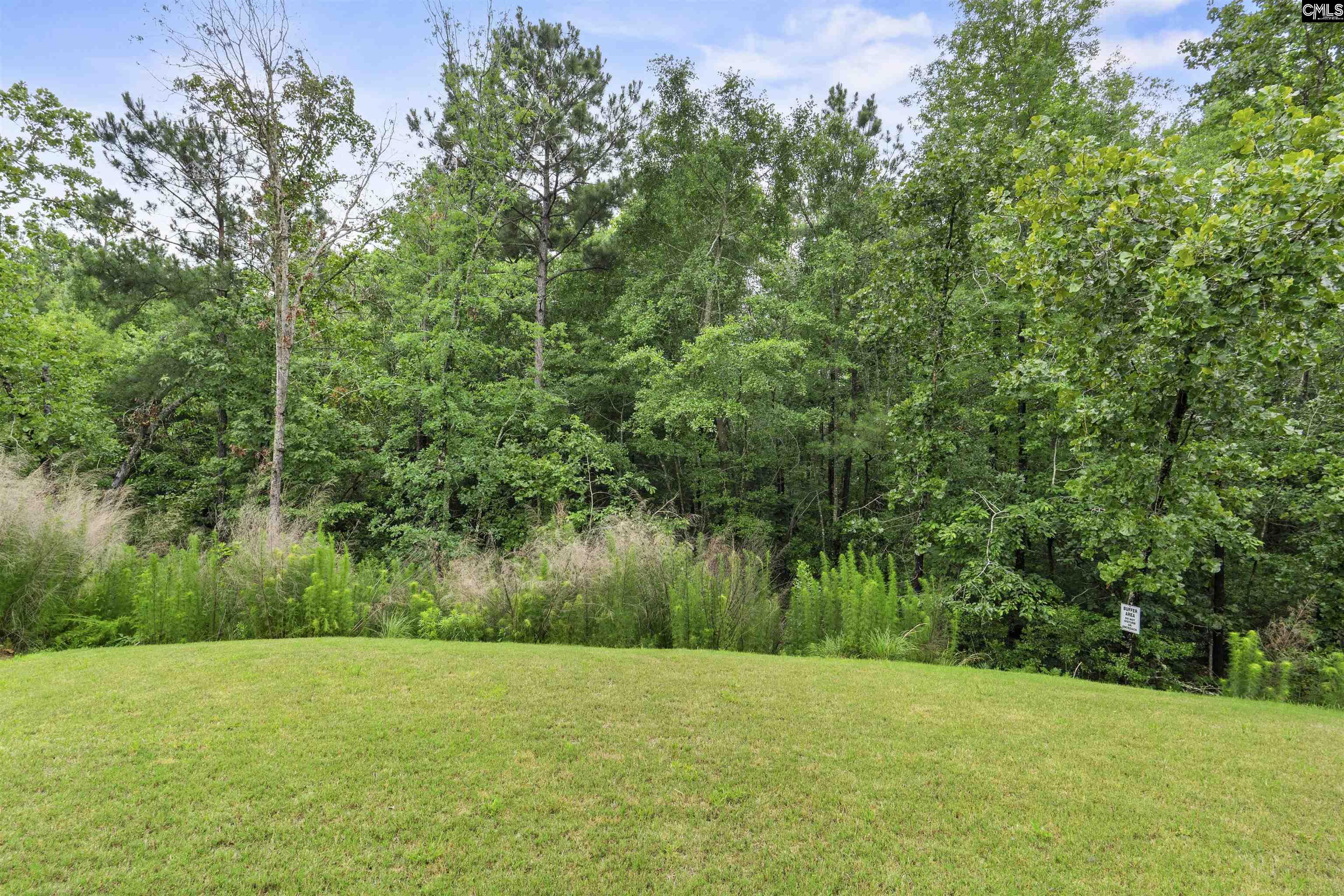 467 N High Duck Trail Blythewood, SC 29016-7335
