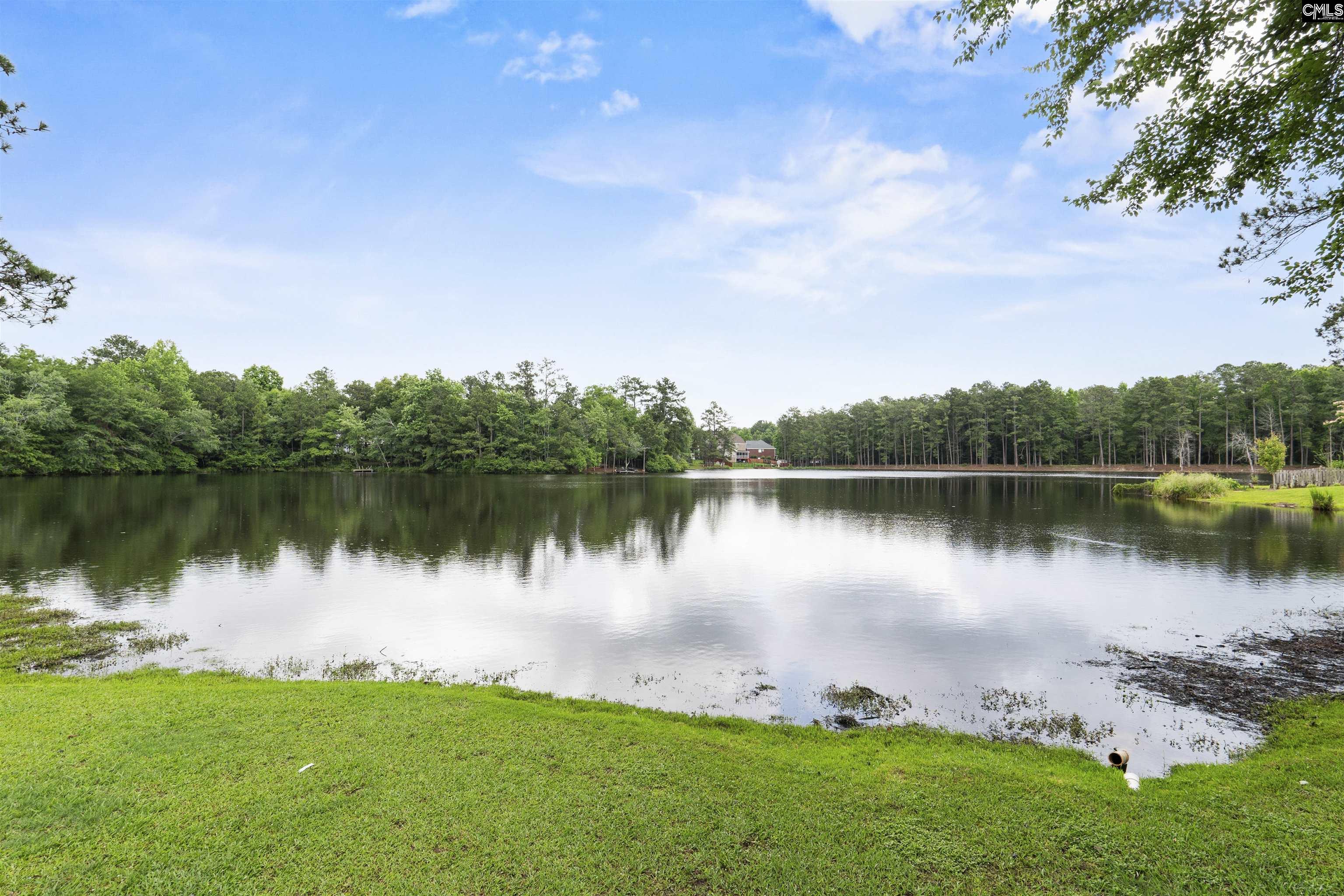 467 N High Duck Trail Blythewood, SC 29016-7335