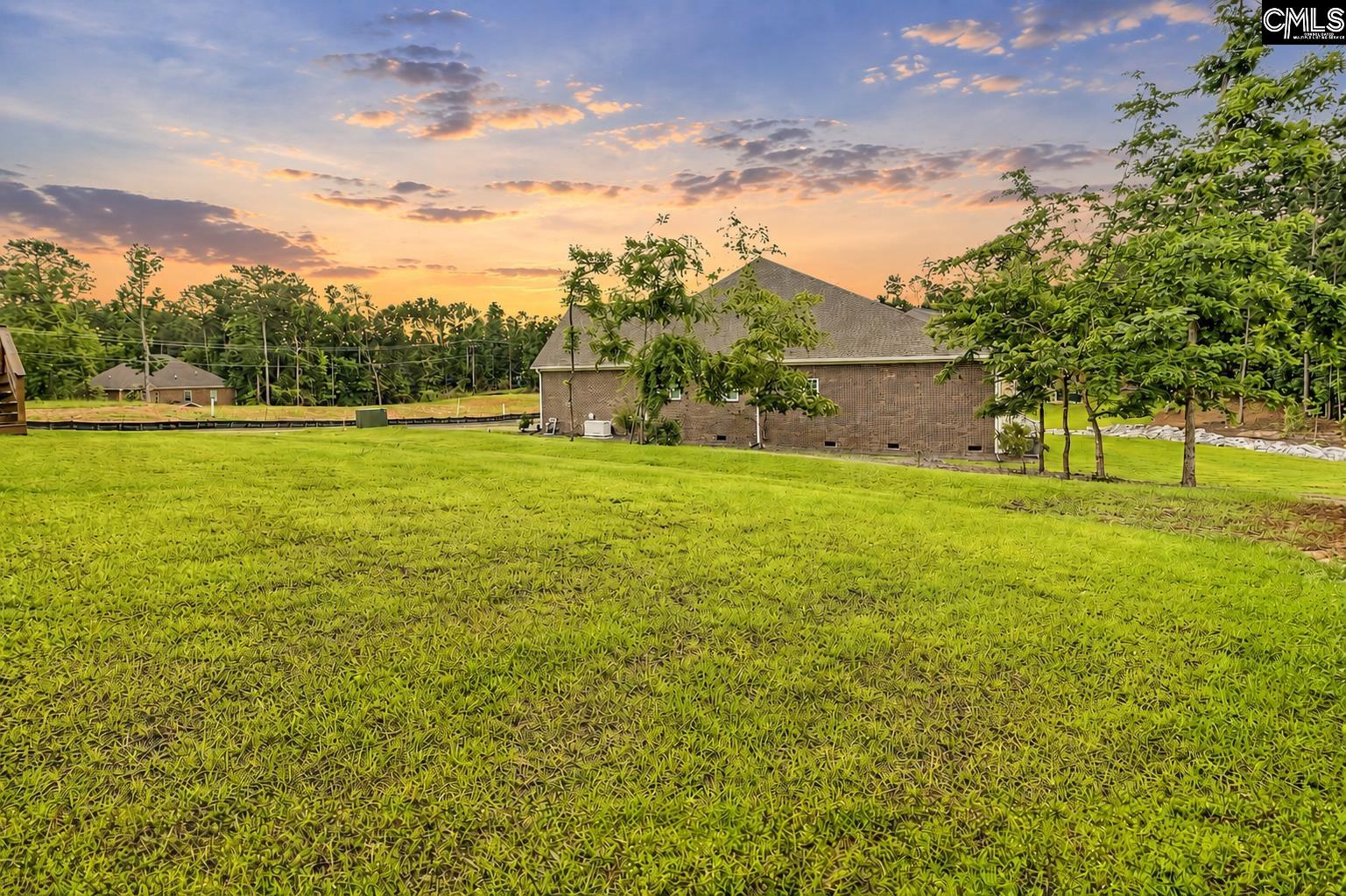 424 Lombard Way Chapin, SC 29036