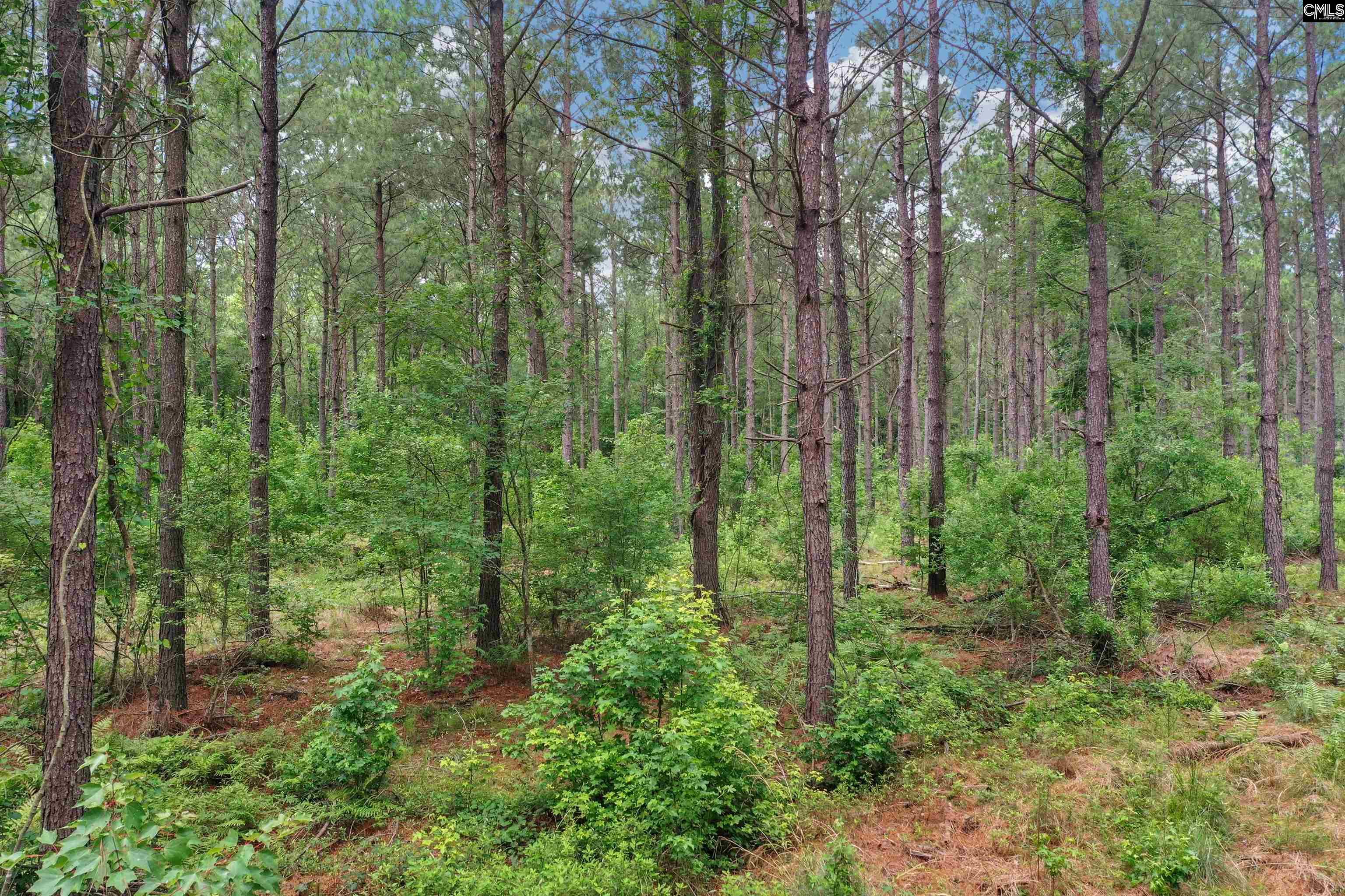 0000 N Brewington Road UNIT #10 Manning, SC 29102