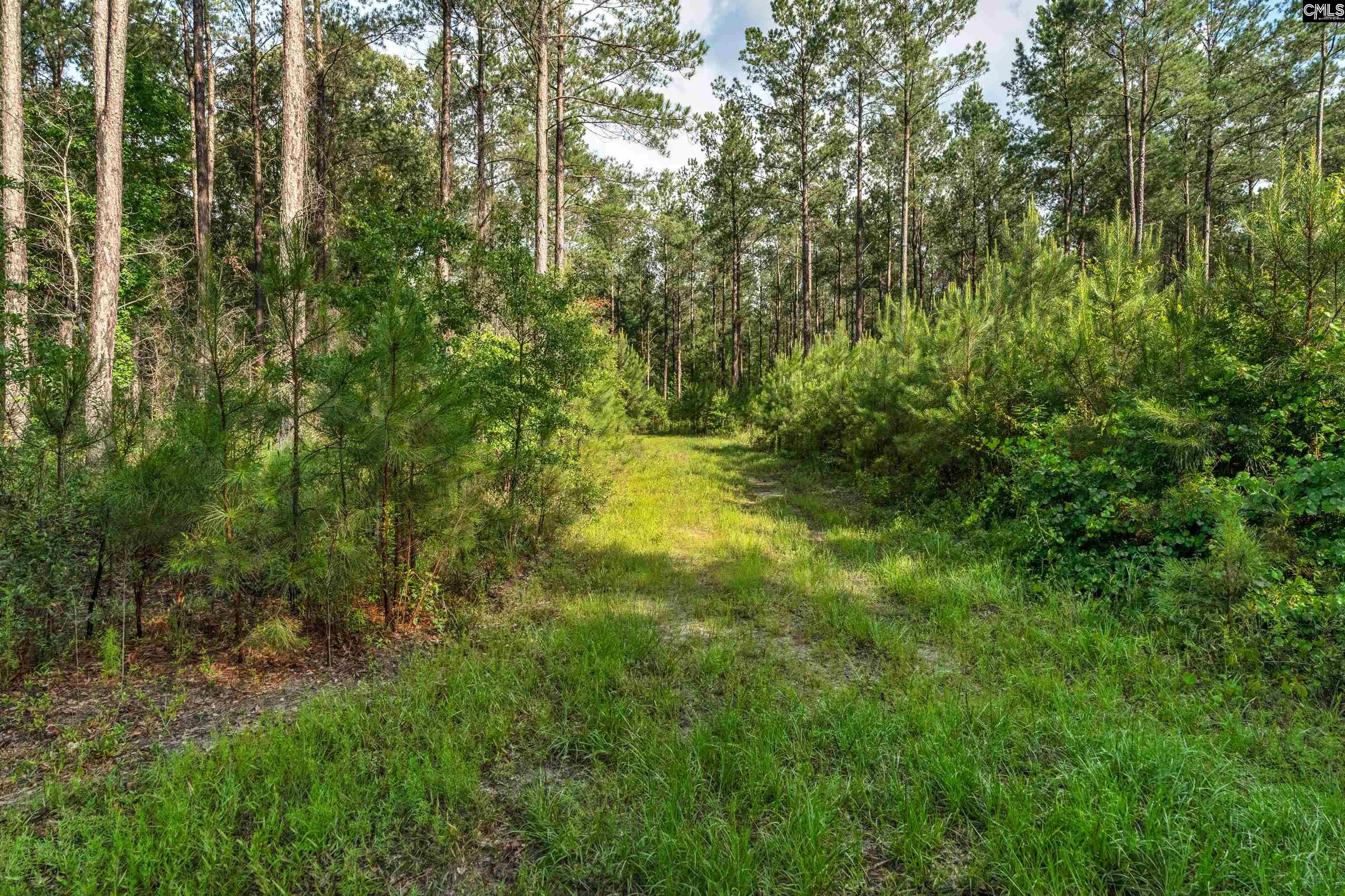 0000 N Brewington Road UNIT #10 Manning, SC 29102