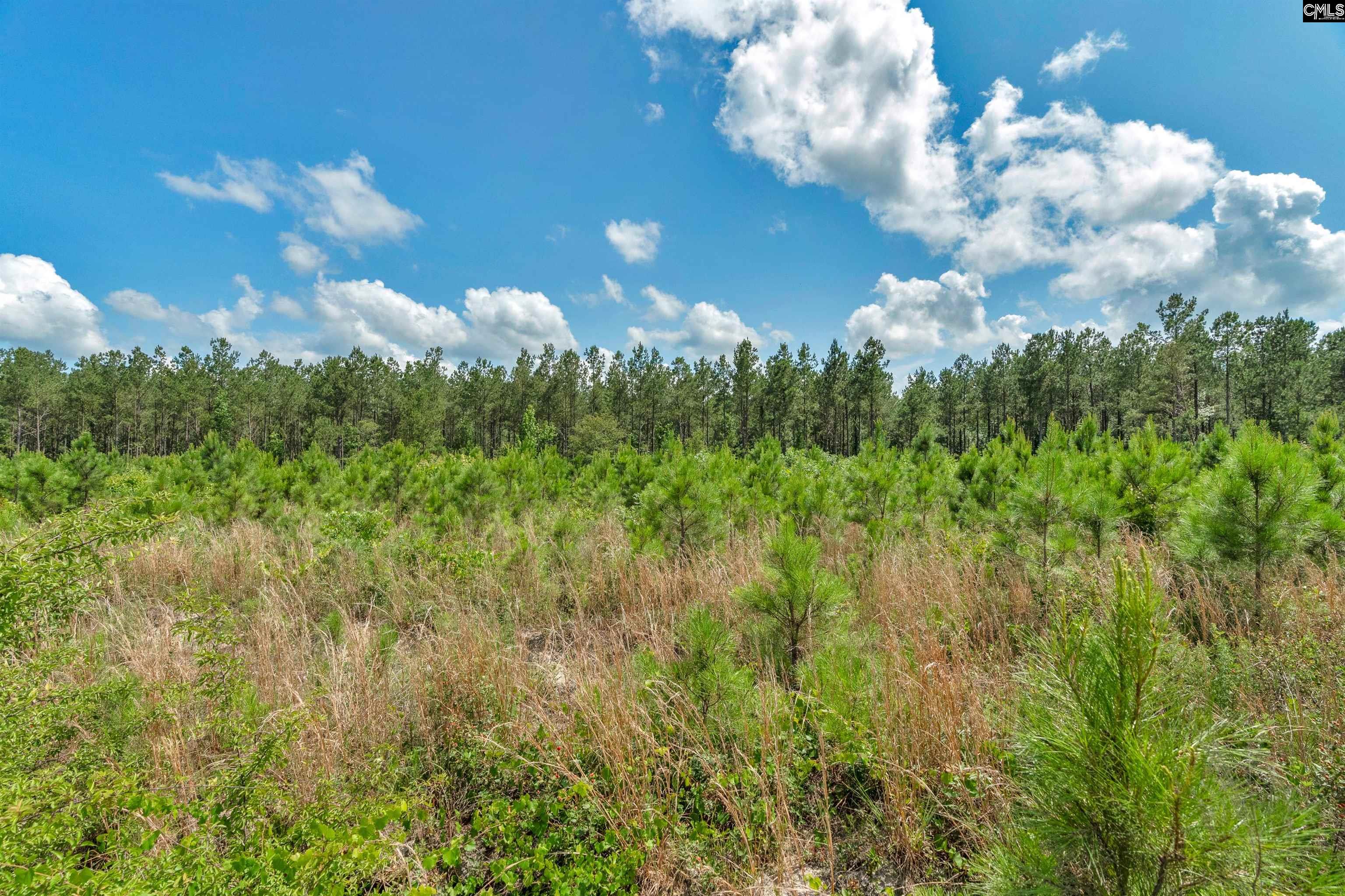 0000 N Brewington Road UNIT #10 Manning, SC 29102