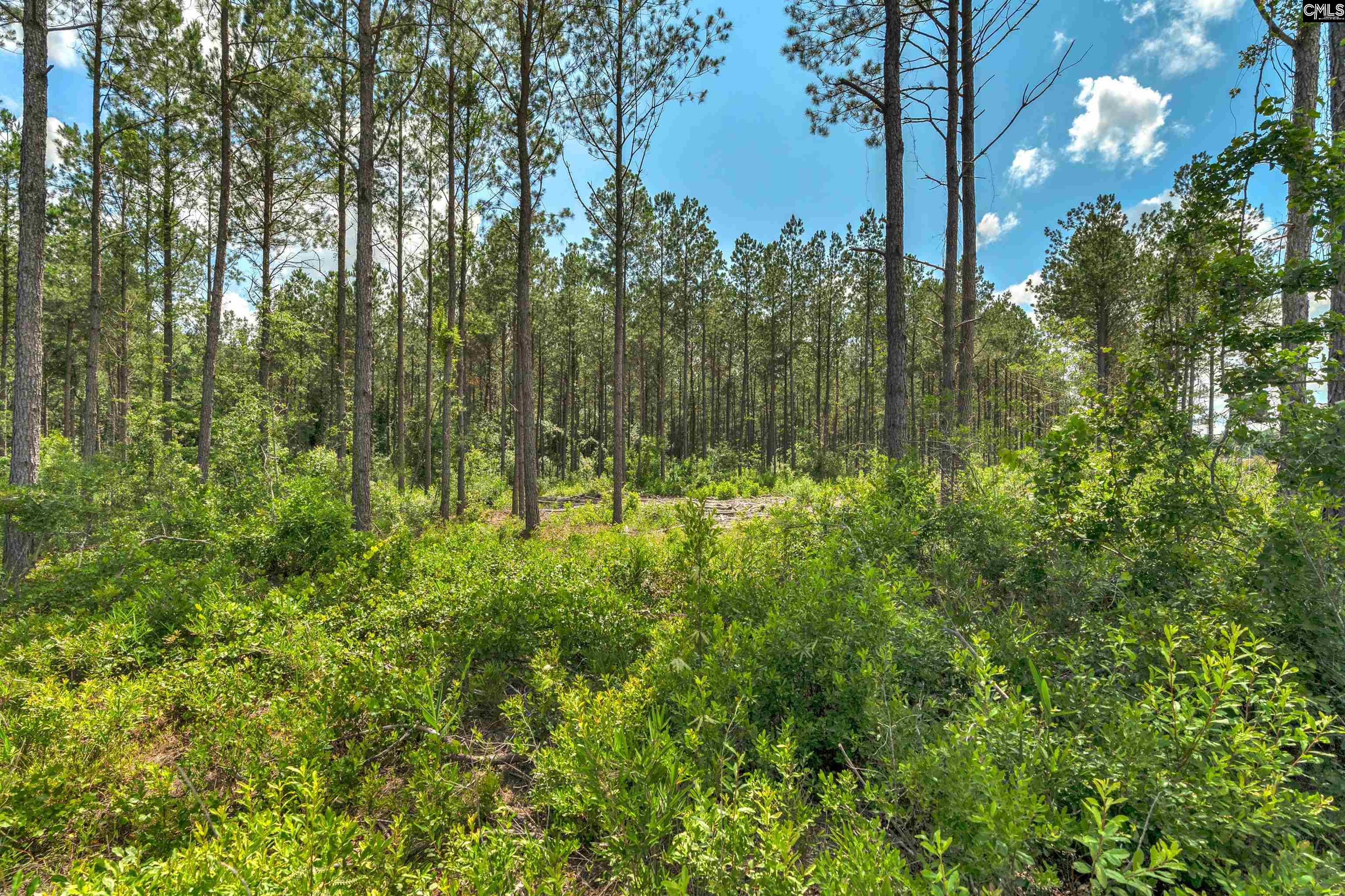 0000 N Brewington Road UNIT #10 Manning, SC 29102