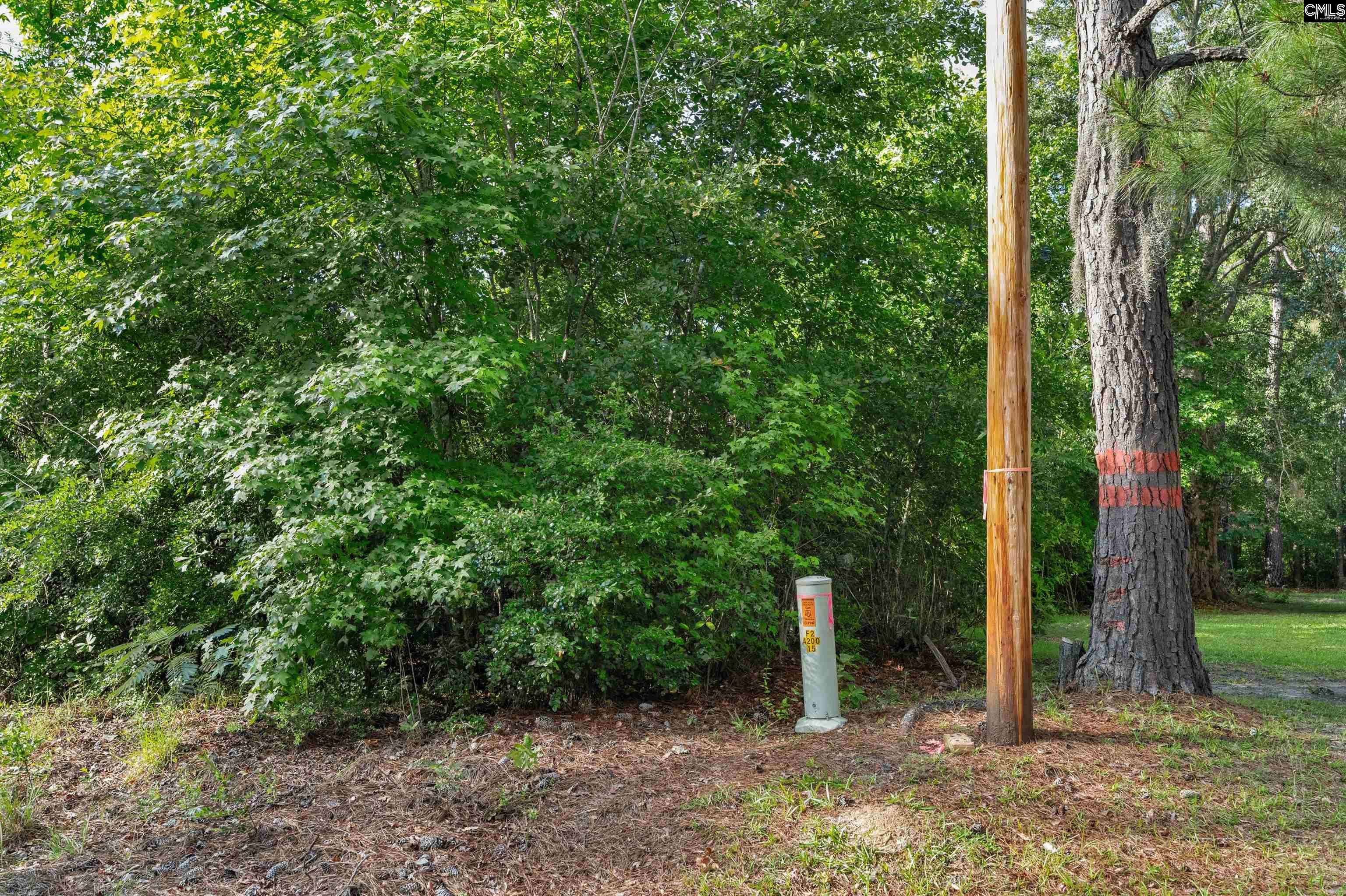 0000 N Brewington Road UNIT #10 Manning, SC 29102