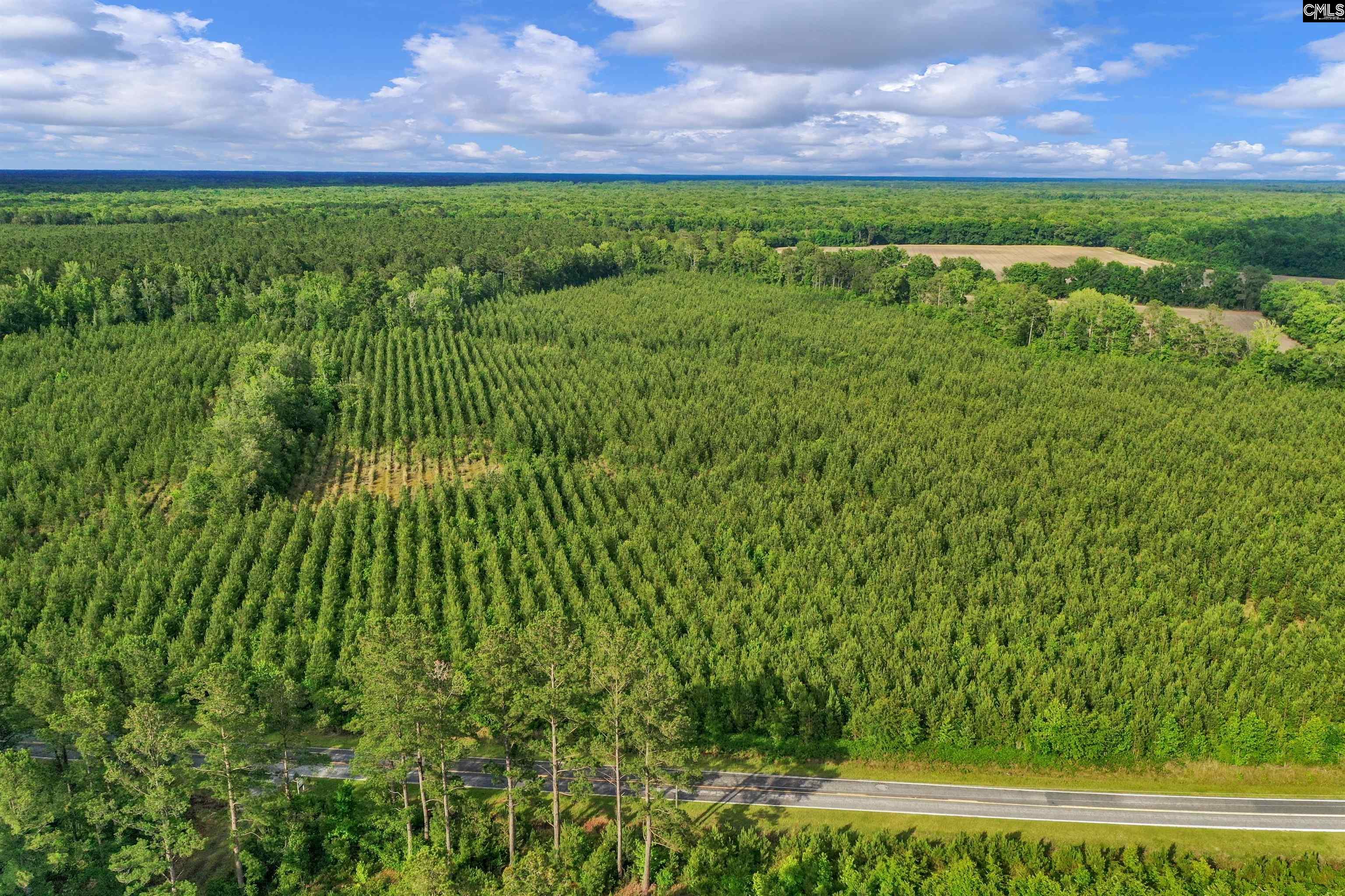 0000 N Brewington Road UNIT #10 Manning, SC 29102
