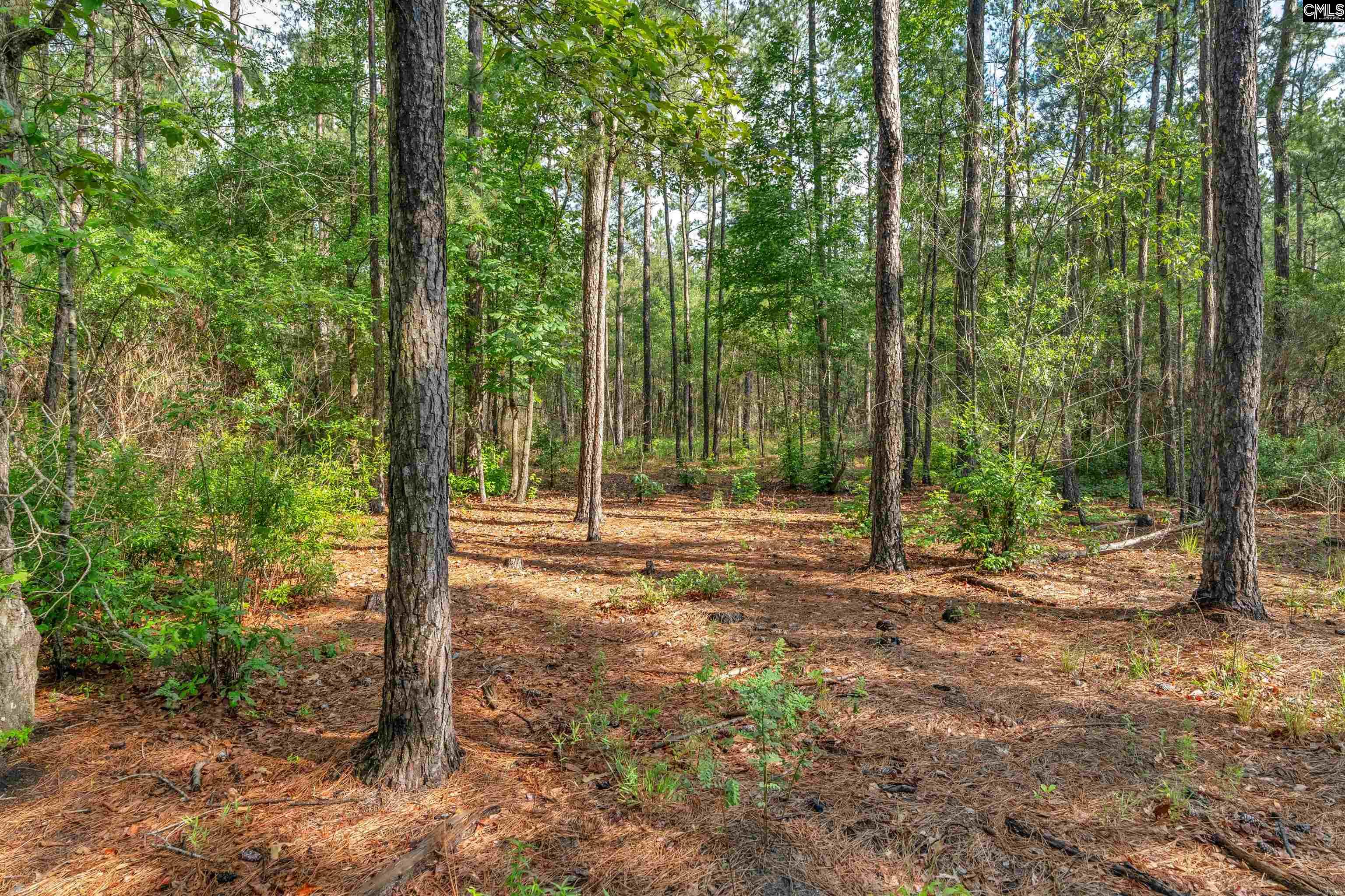 0000 N Brewington Road UNIT #10 Manning, SC 29102