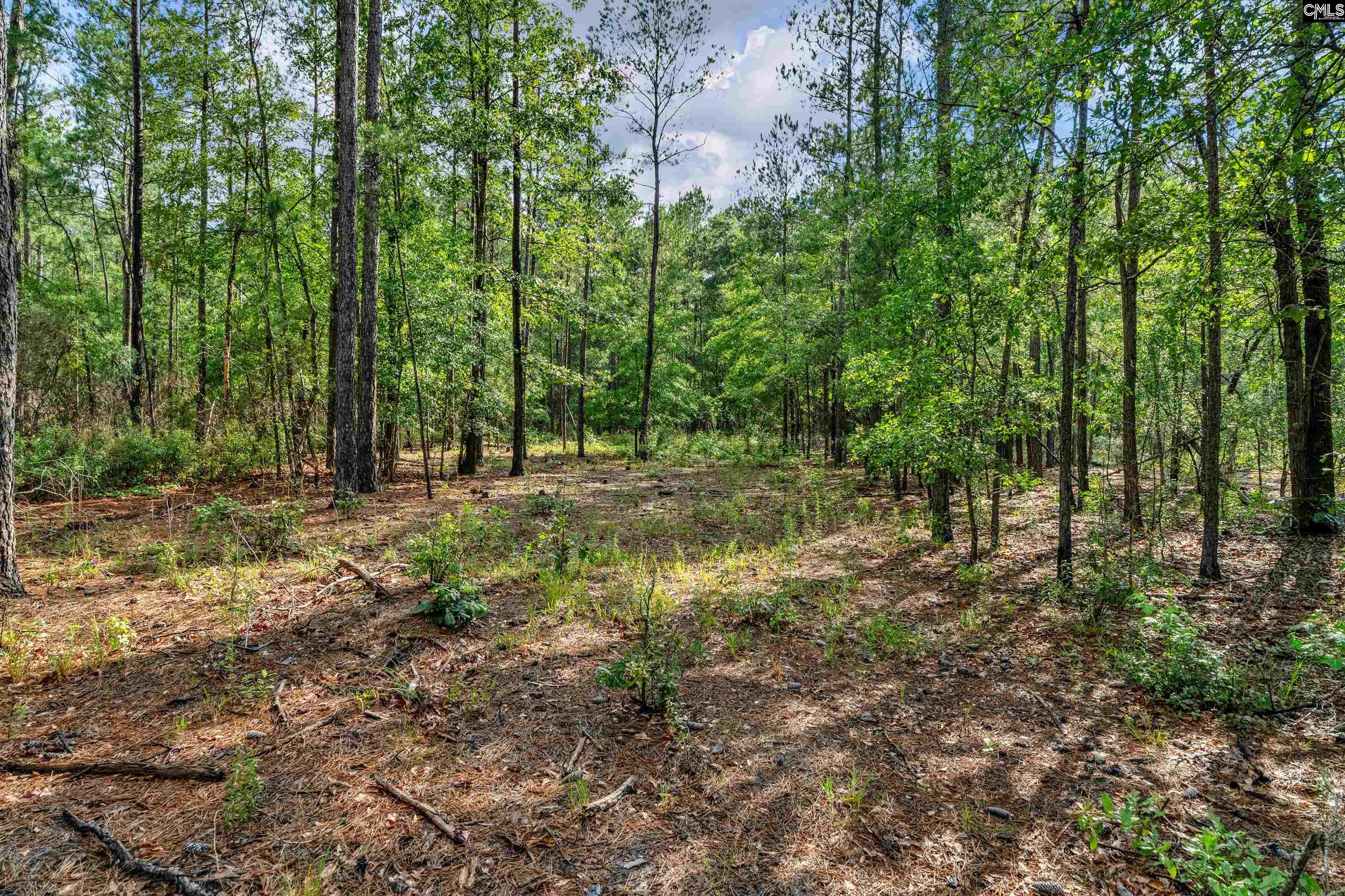 0000 N Brewington Road UNIT #10 Manning, SC 29102