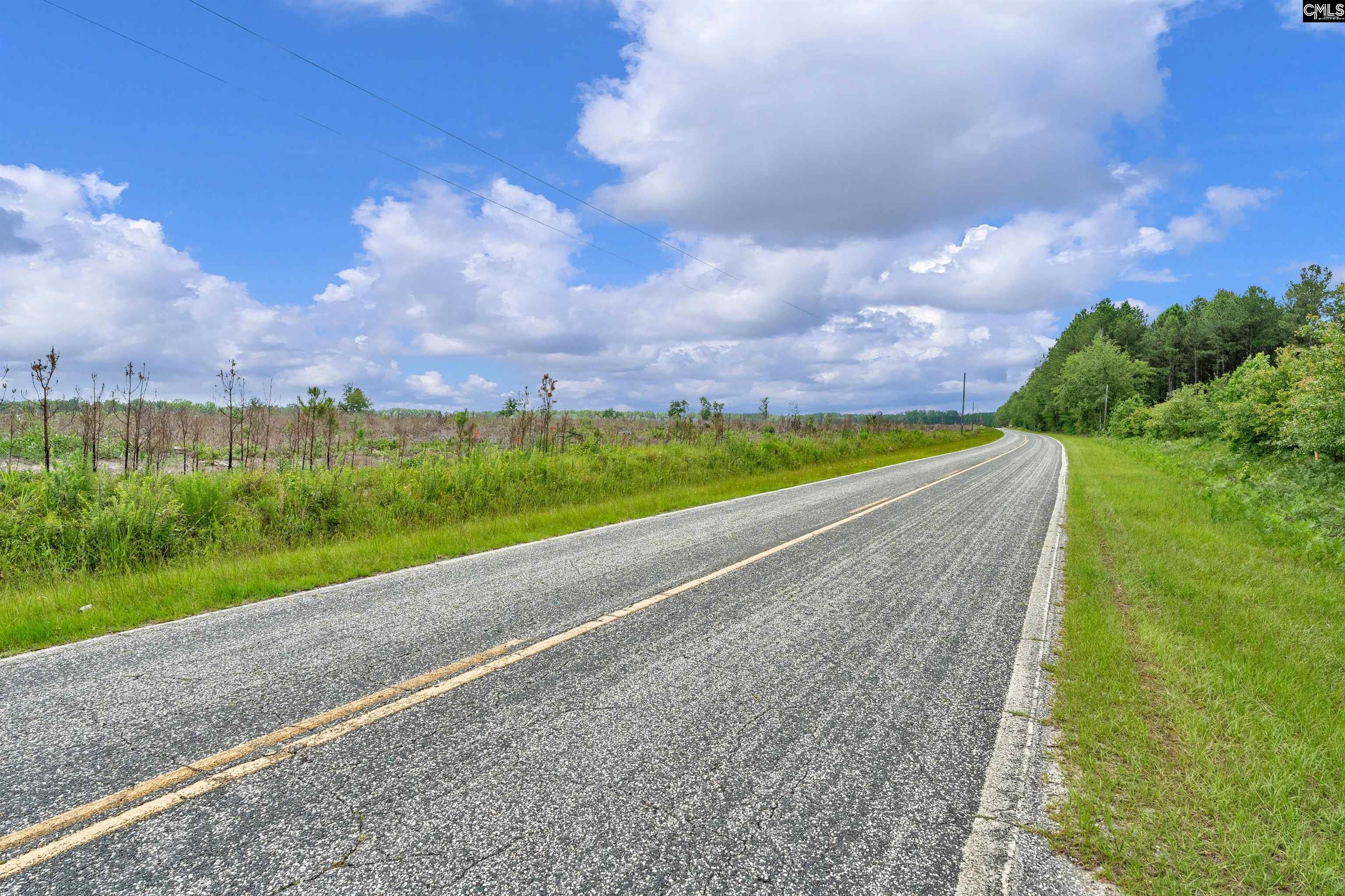 0000 N Brewington Road UNIT #2 Manning, SC 29102