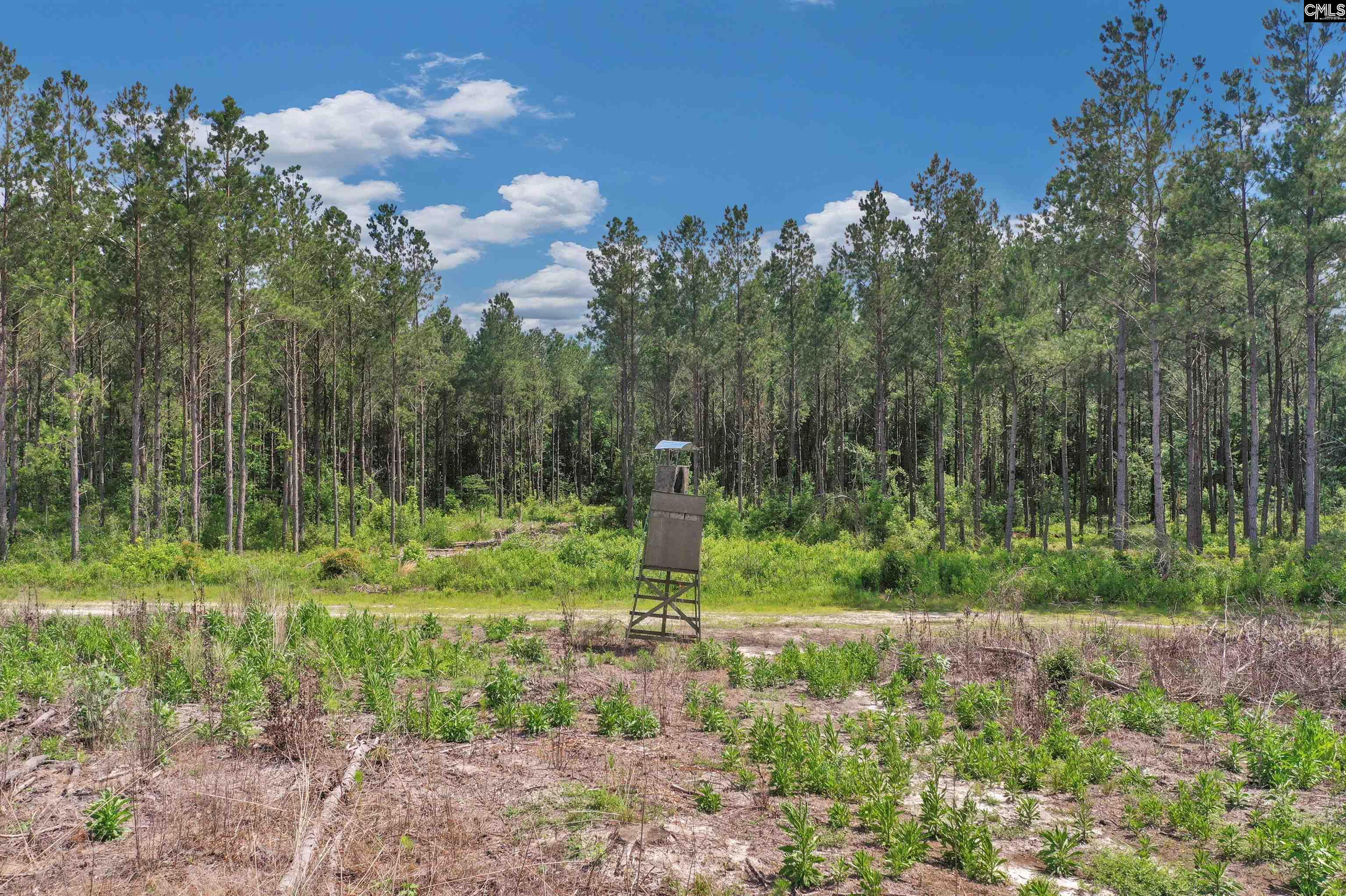 0000 N Brewington Road UNIT #2 Manning, SC 29102