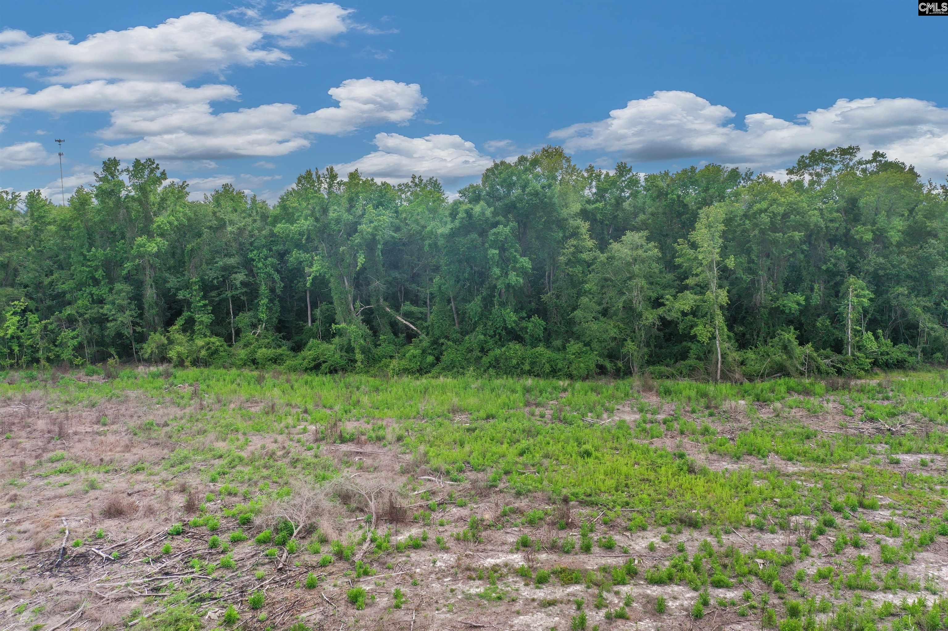 0000 N Brewington Road UNIT #2 Manning, SC 29102