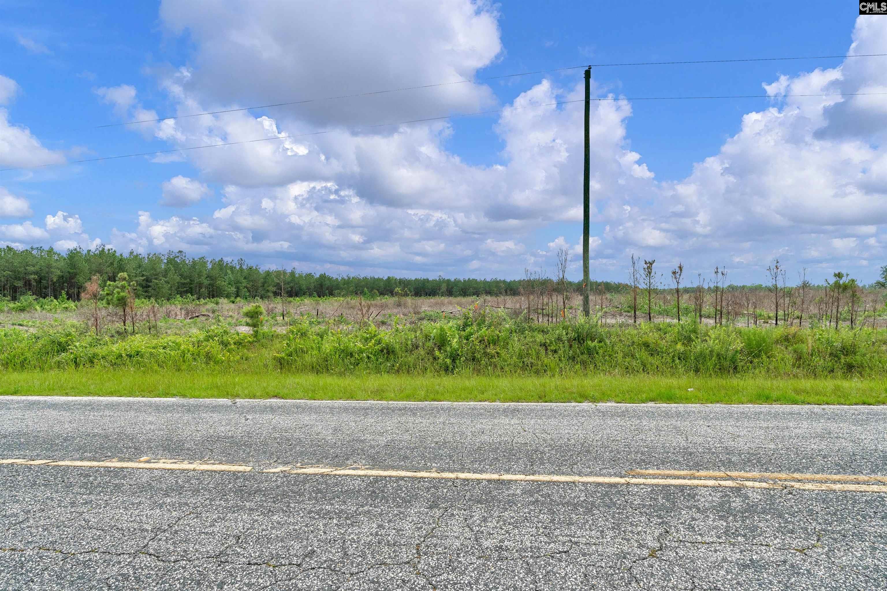 0000 N Brewington Road UNIT #2 Manning, SC 29102