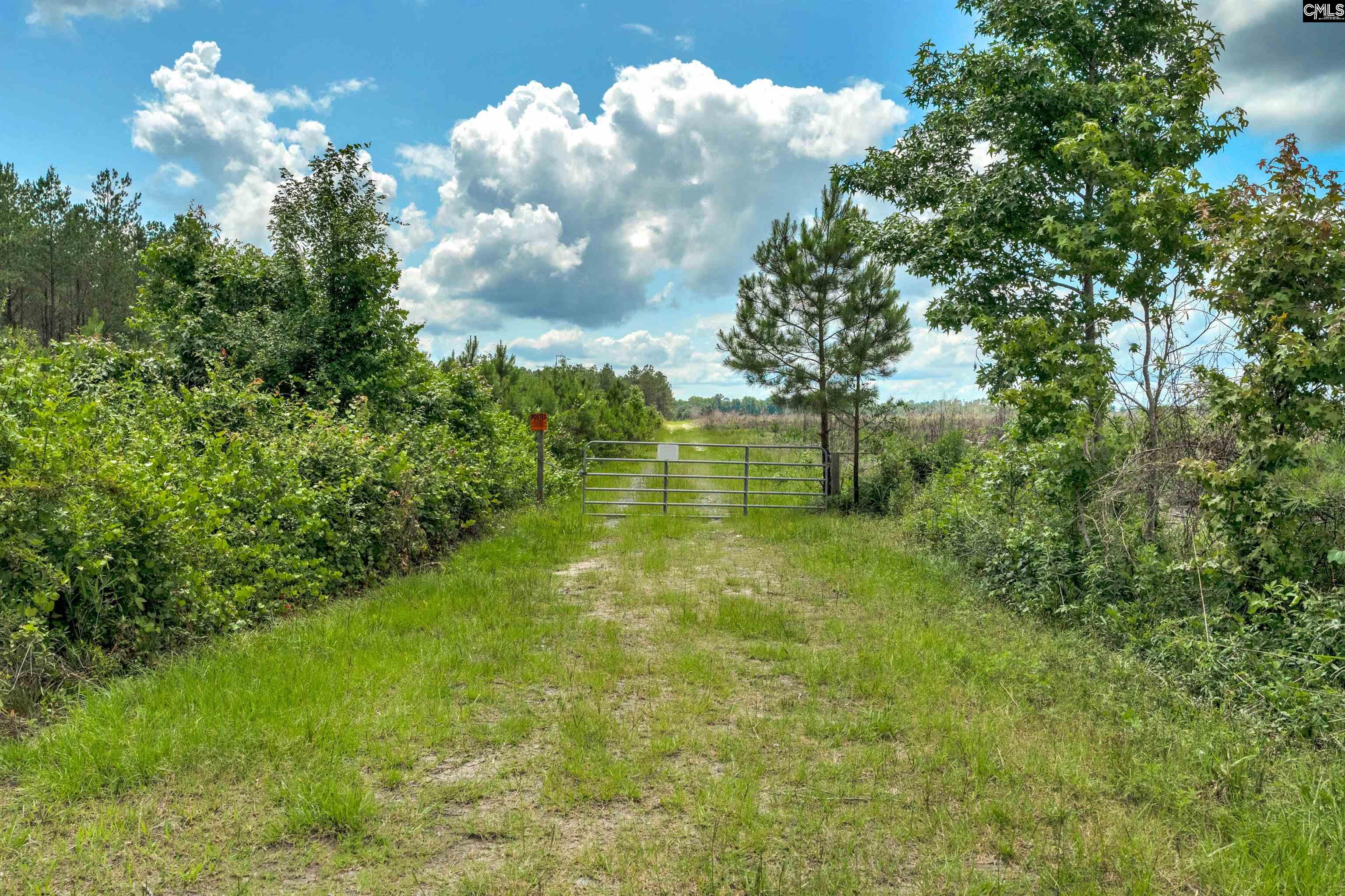 0000 N Brewington Road UNIT #2 Manning, SC 29102