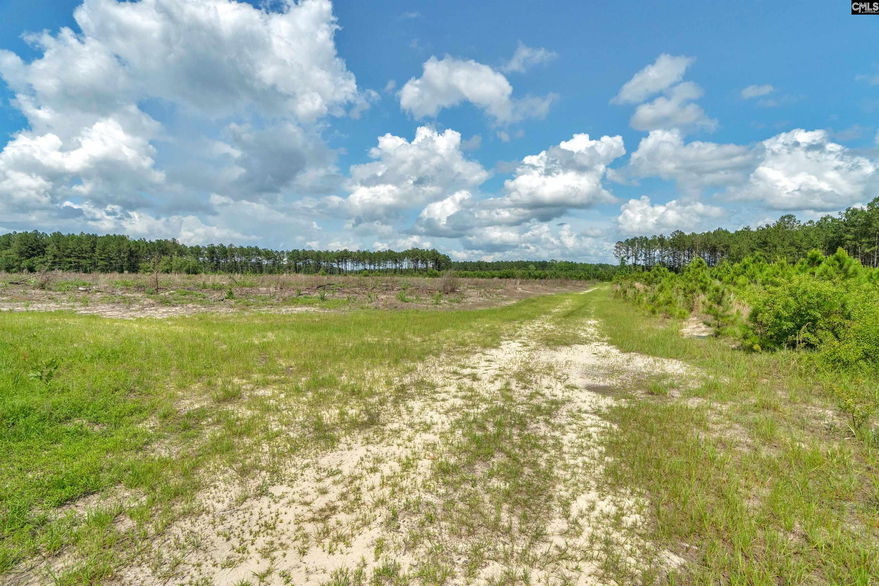 0000 N Brewington Road UNIT #2 Manning, SC 29102