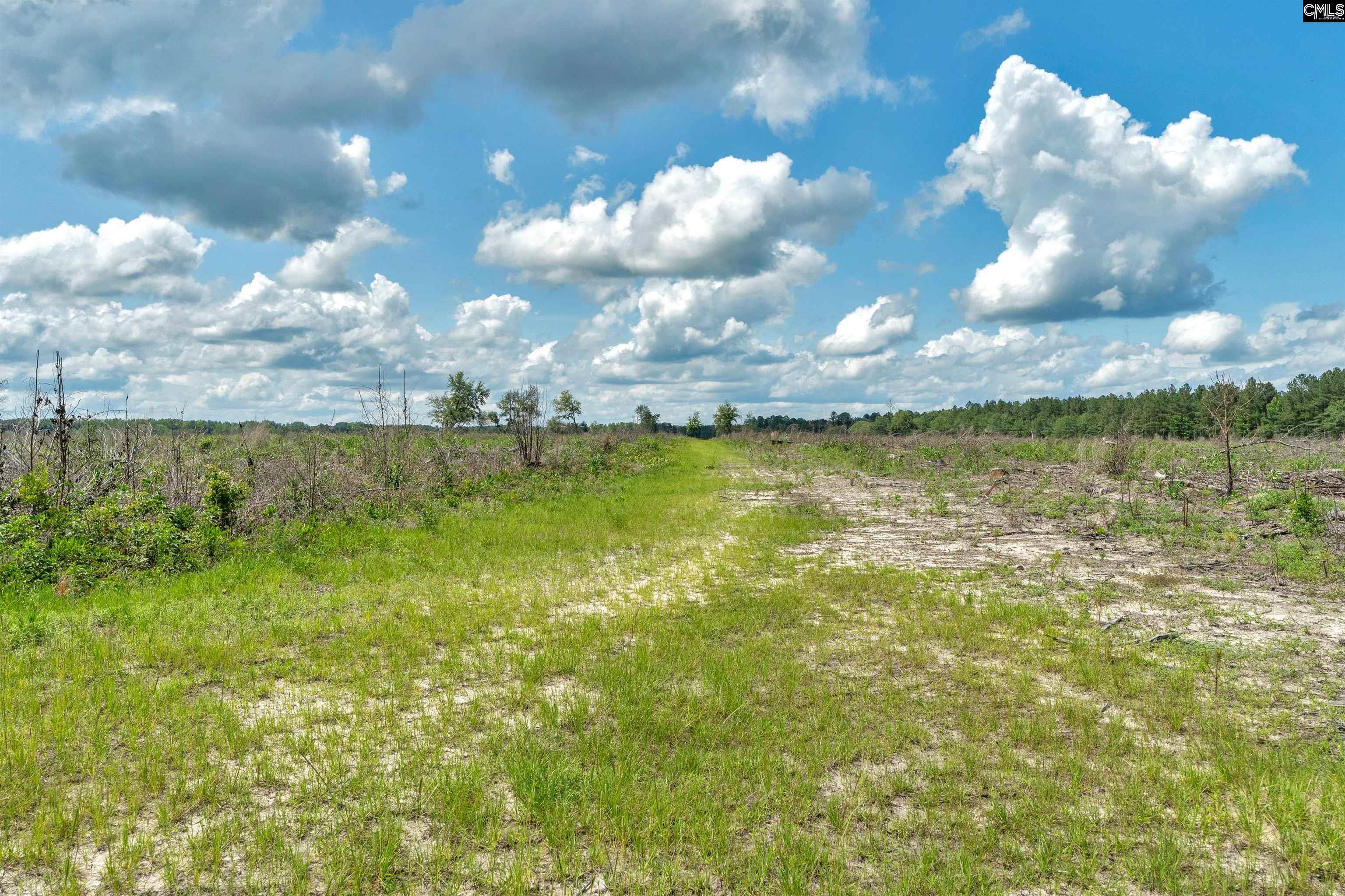 0000 N Brewington Road UNIT #2 Manning, SC 29102