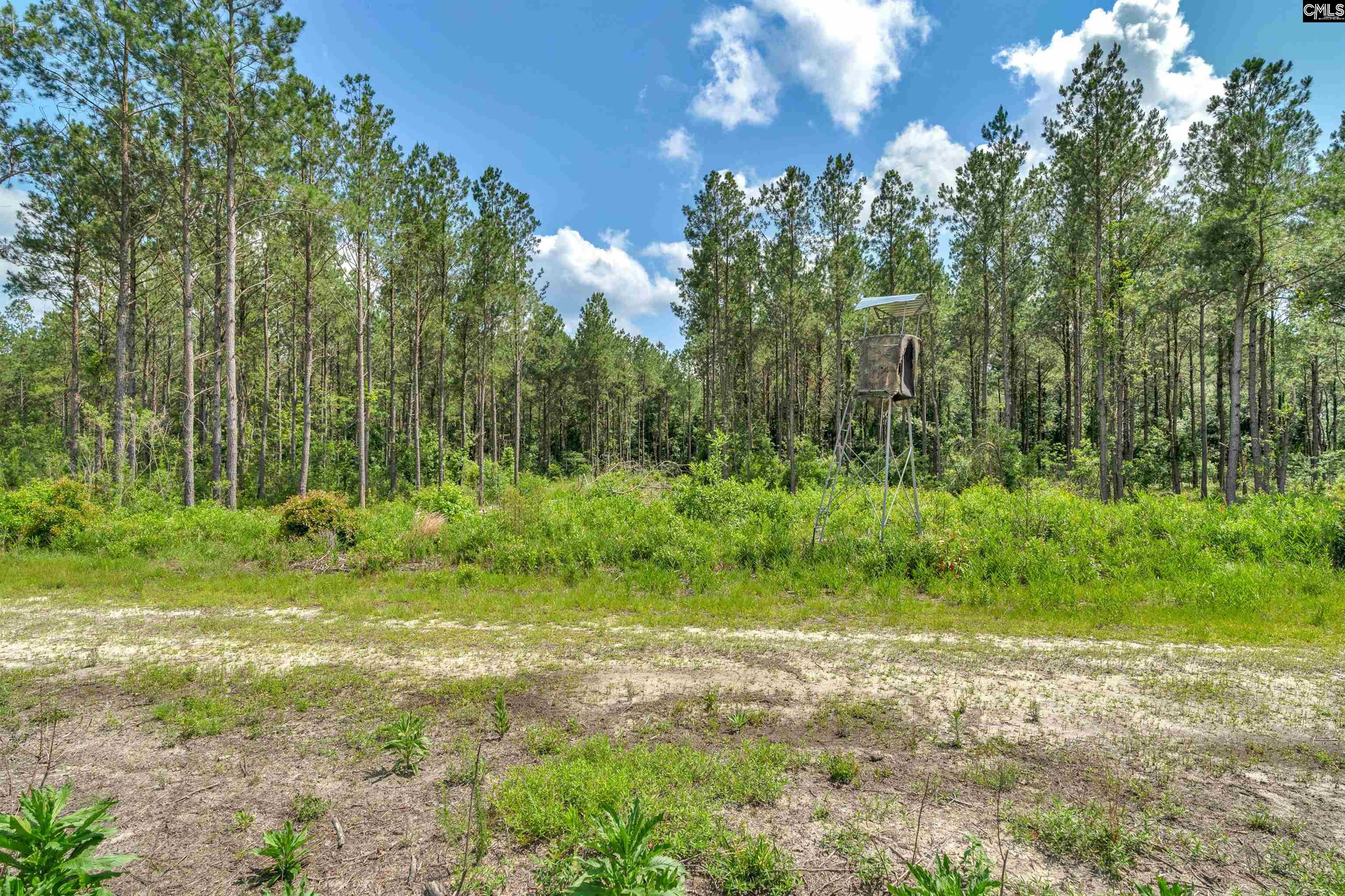 0000 N Brewington Road UNIT #2 Manning, SC 29102