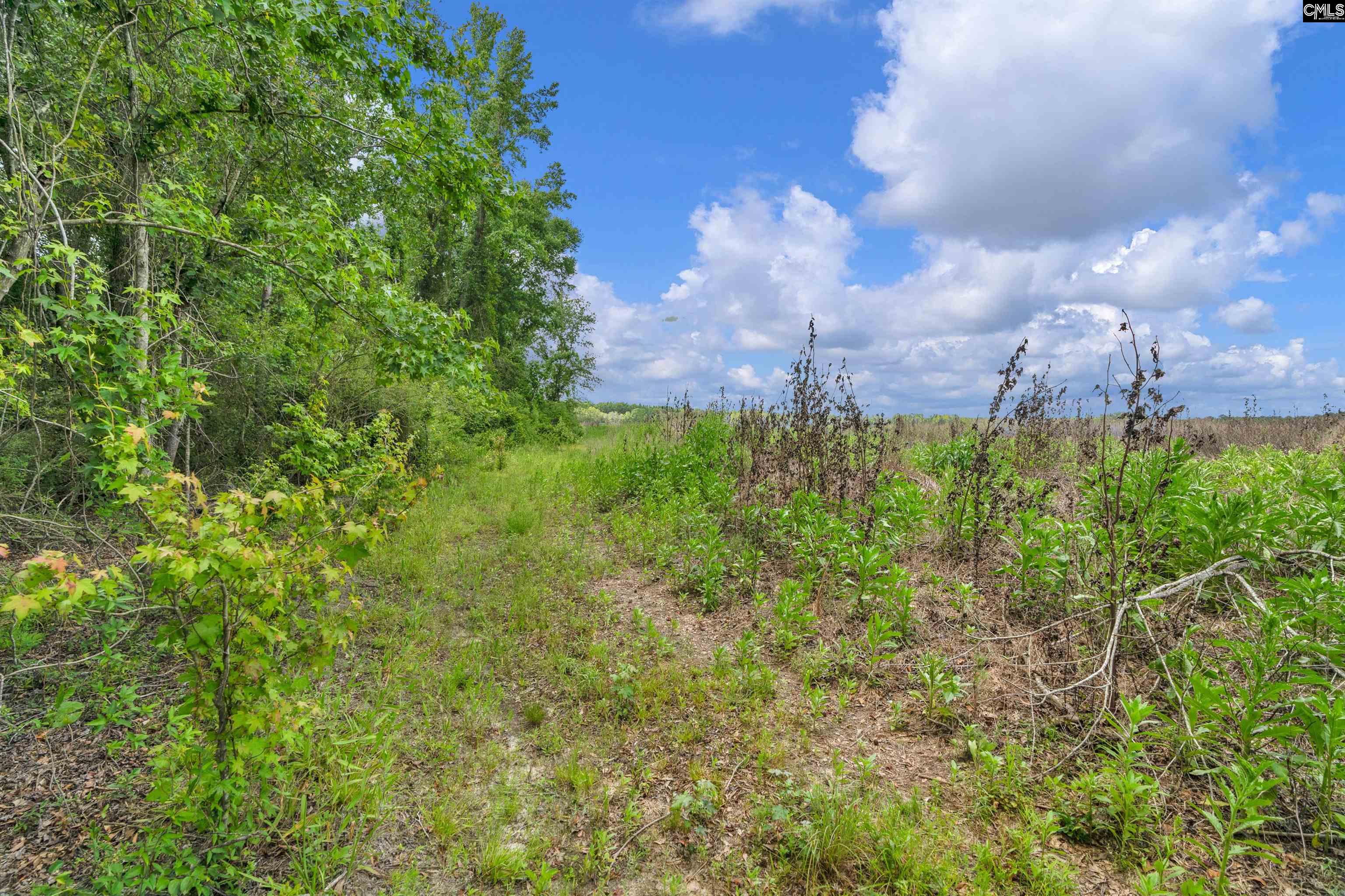 0000 N Brewington Road UNIT #2 Manning, SC 29102