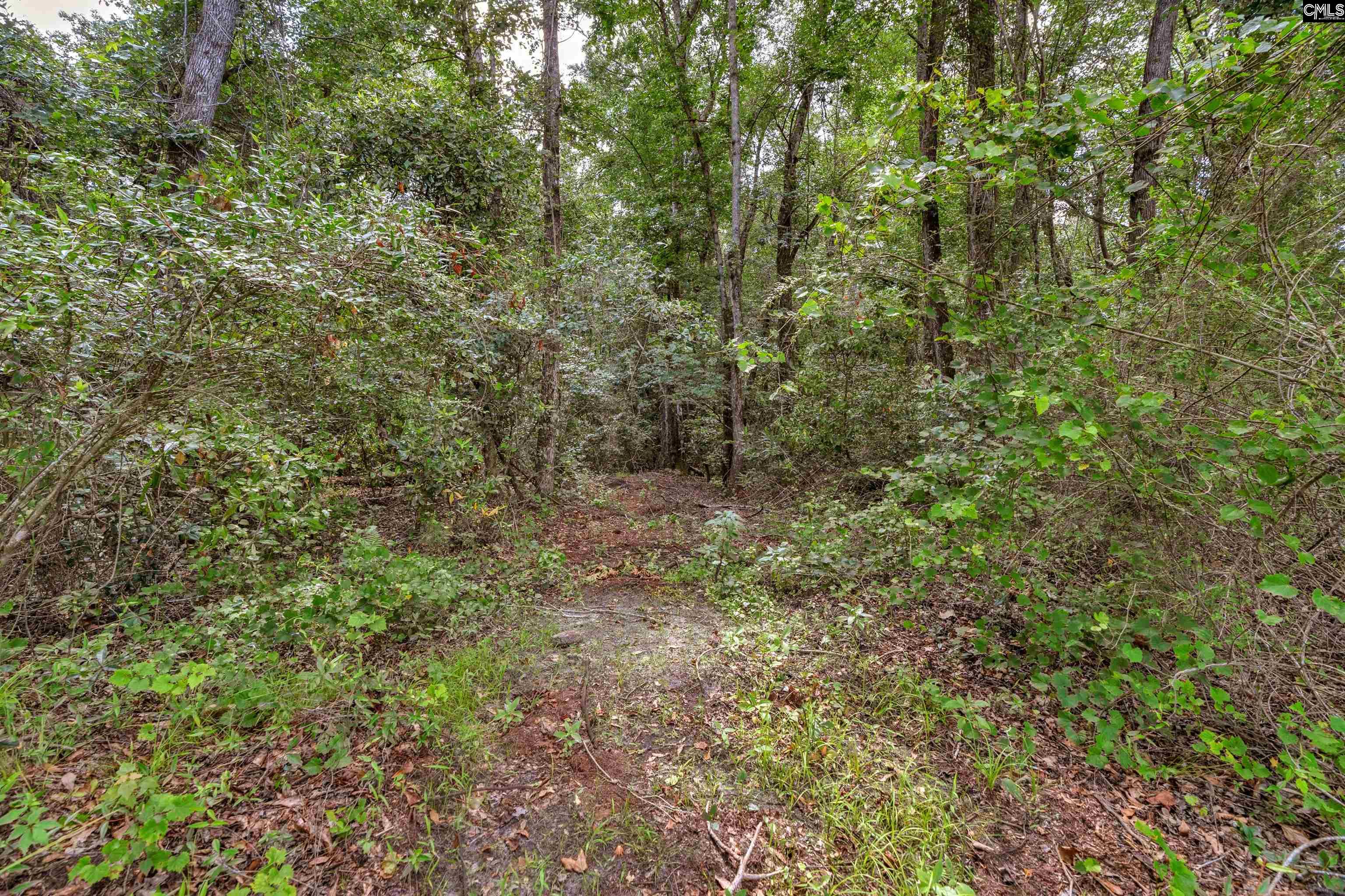 0000 N Brewington Road UNIT #2 Manning, SC 29102